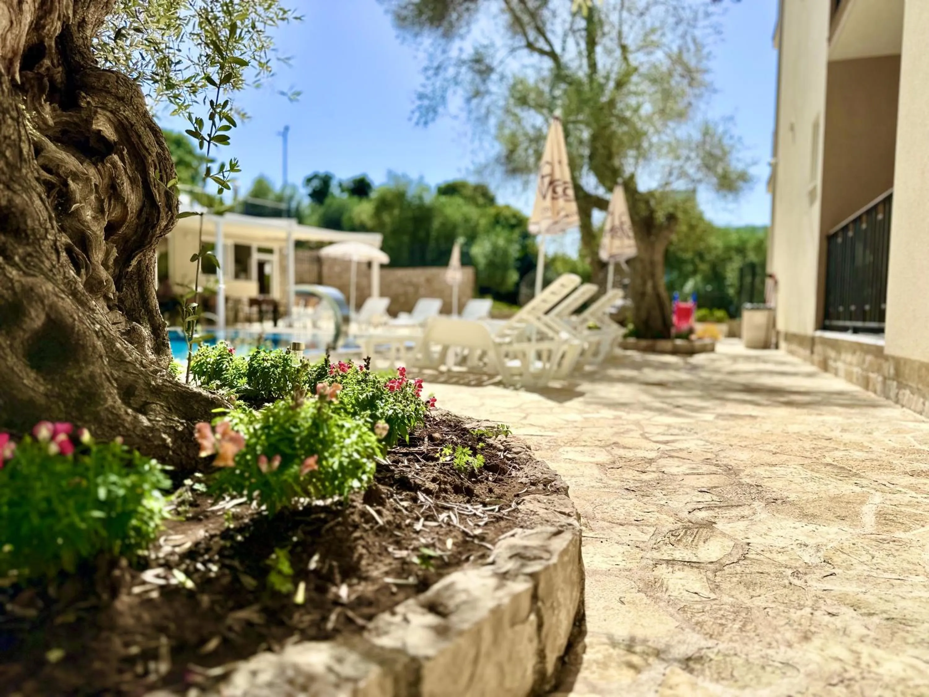 Property building in Akhdar Apartments