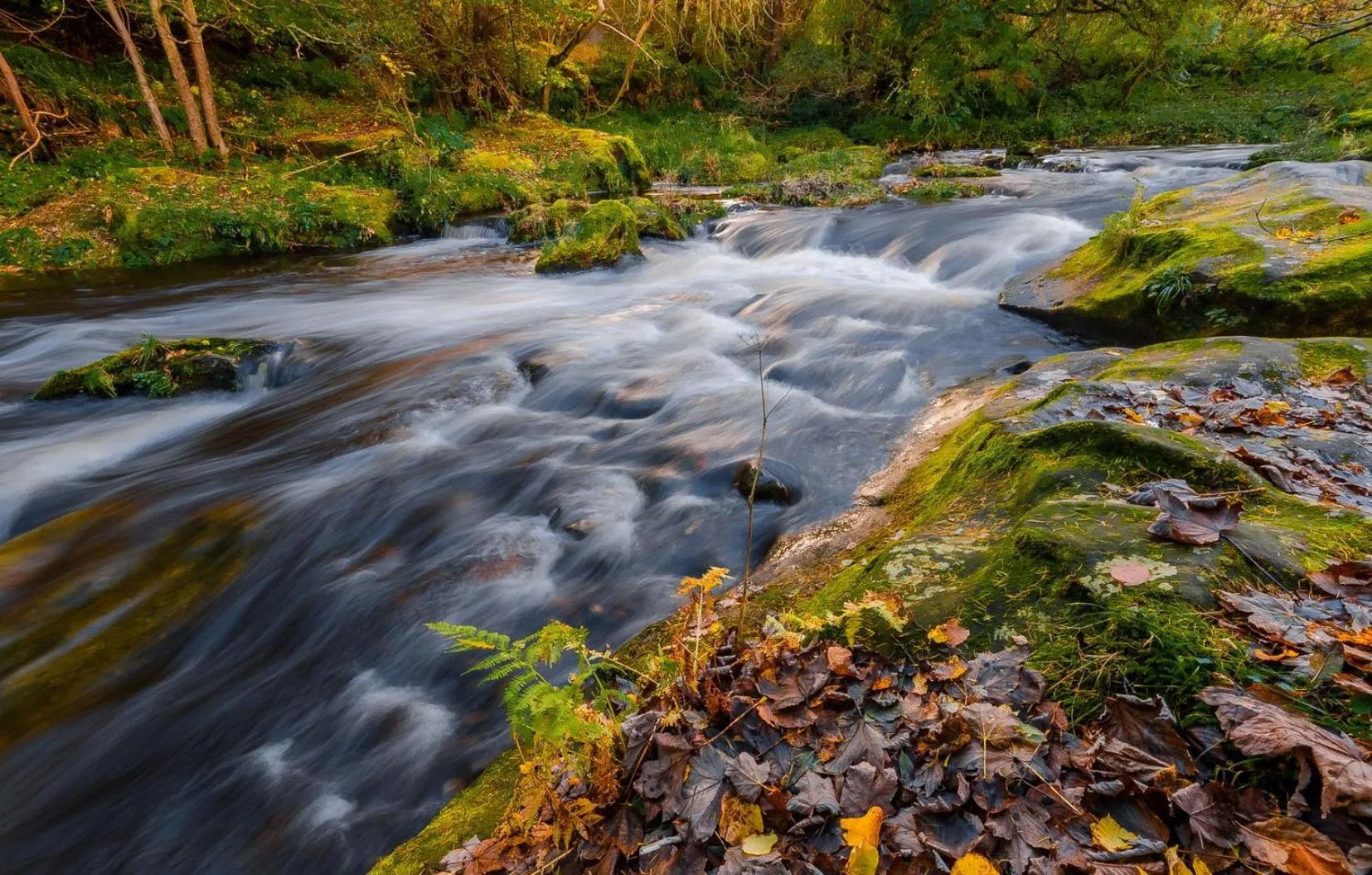 Natural landscape in Mount Royal Hotel Edinburgh by The Unlimited Collection