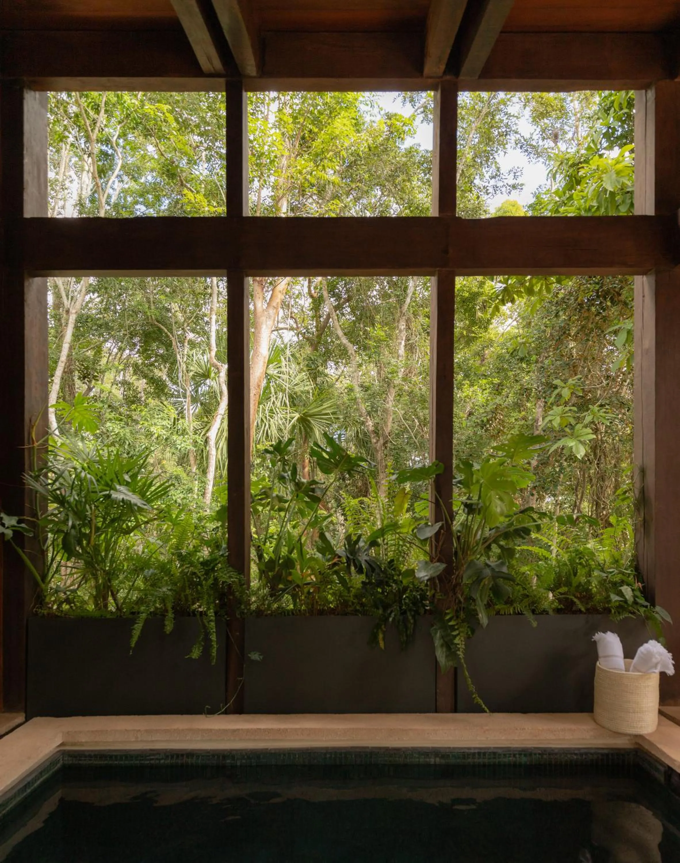 Natural landscape in Boca de Agua Bacalar