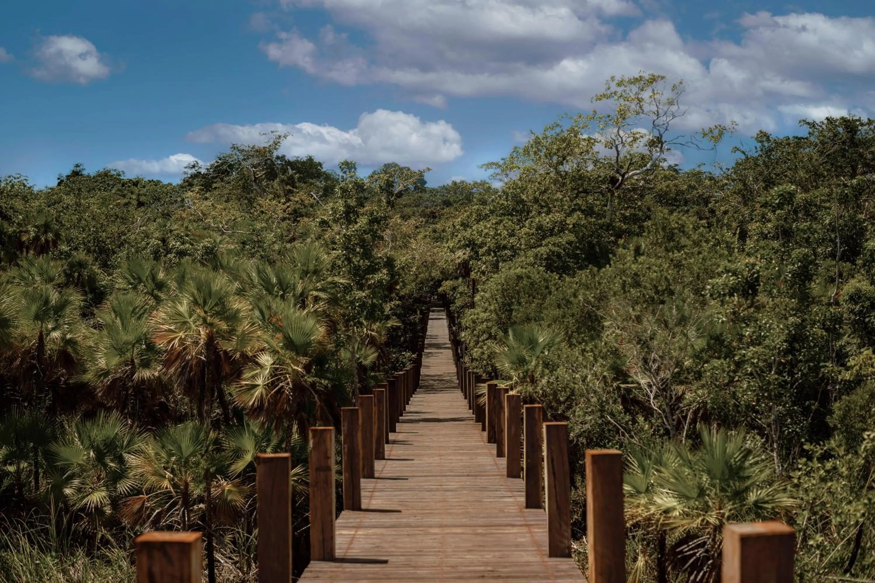 Garden view in Boca de Agua Bacalar
