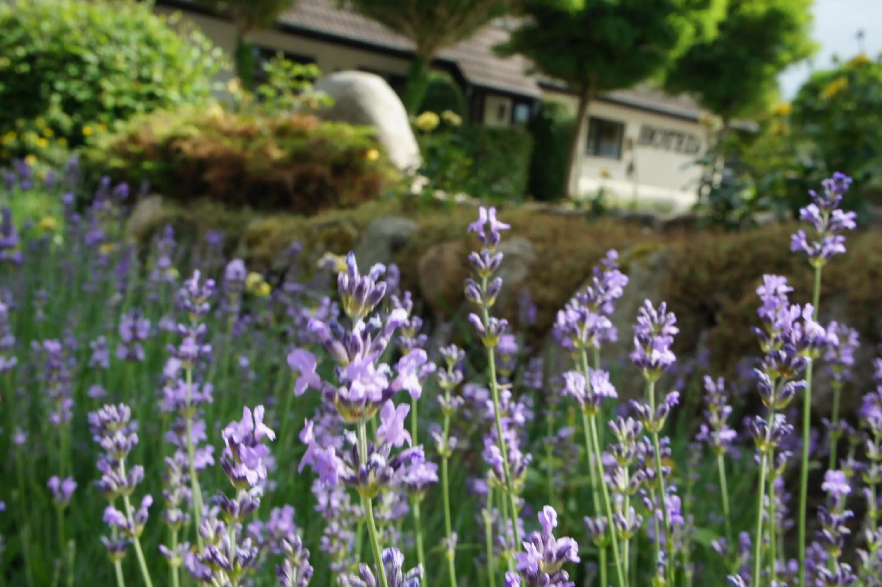 Area and facilities in Lyng Dal Hotel og Restaurant