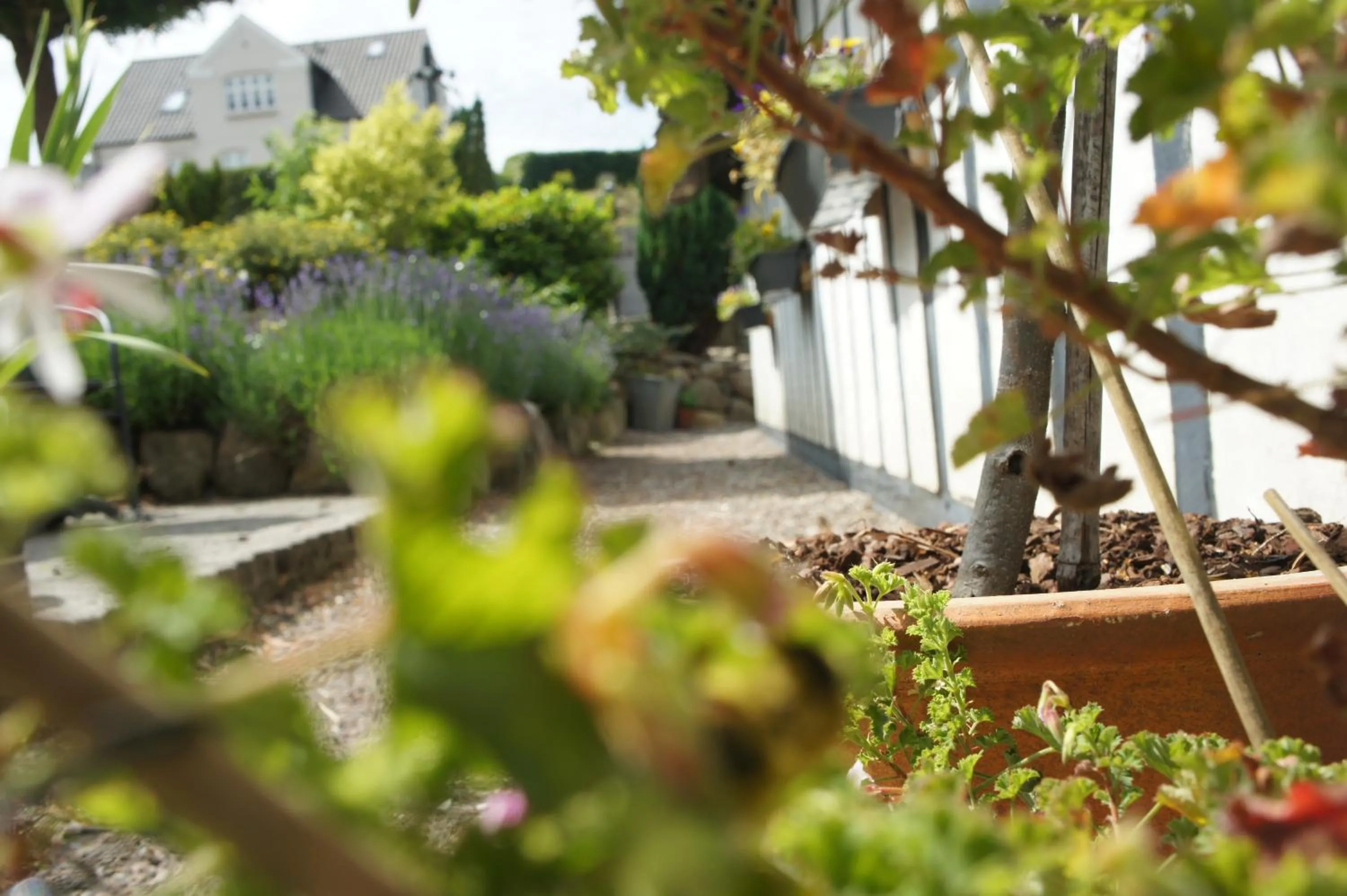 Area and facilities in Lyng Dal Hotel og Restaurant