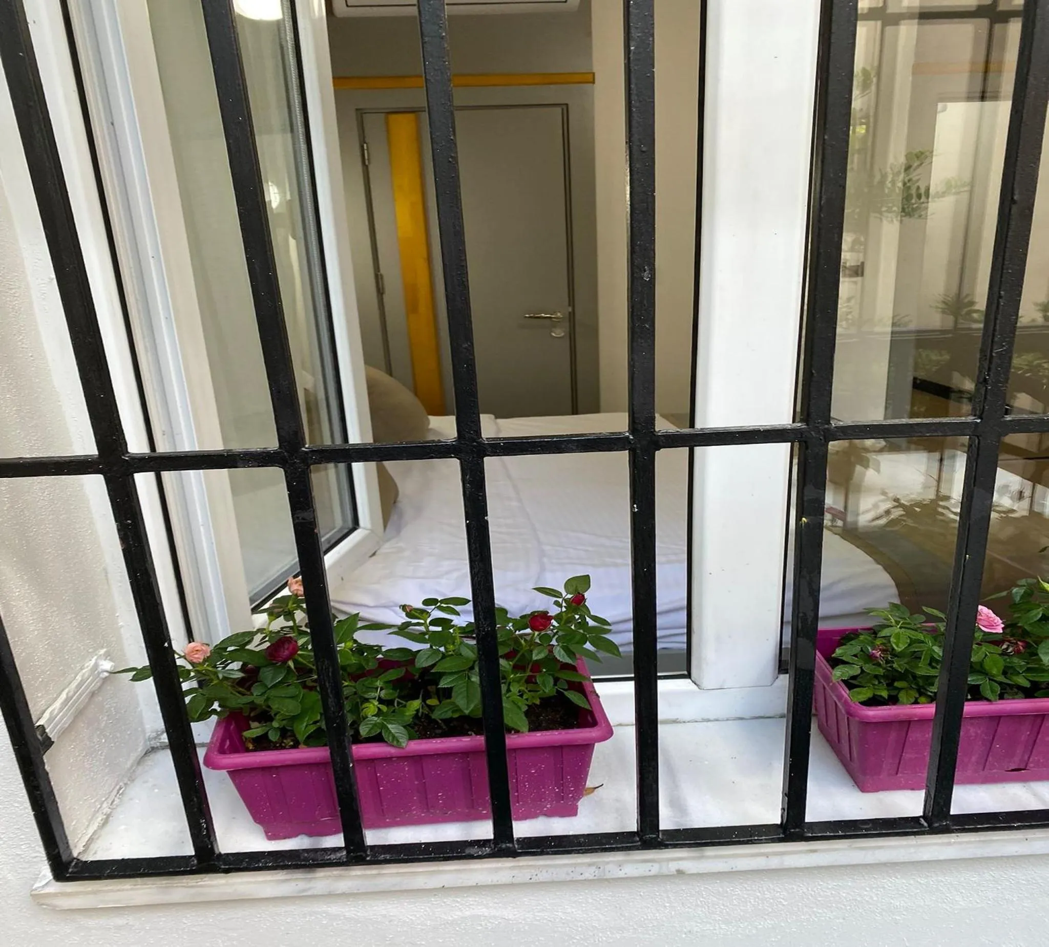 Garden in Guldehan Hotel