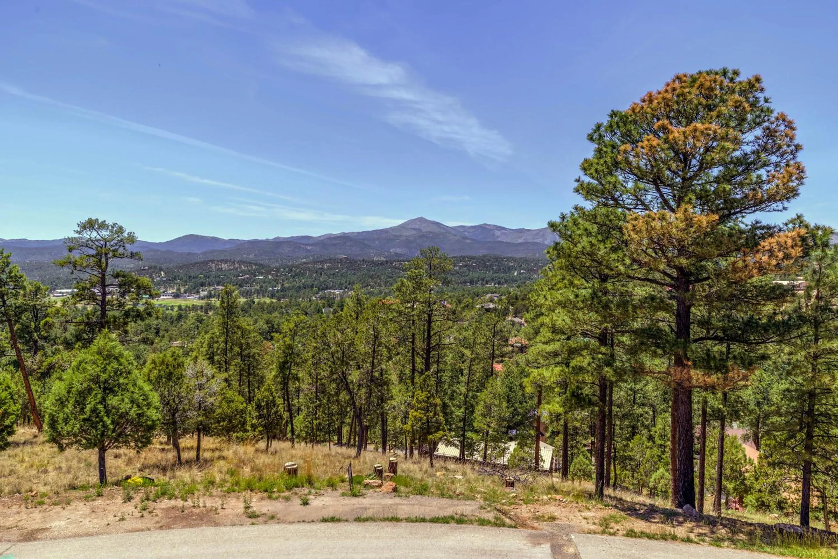 Property building in Viewtopia