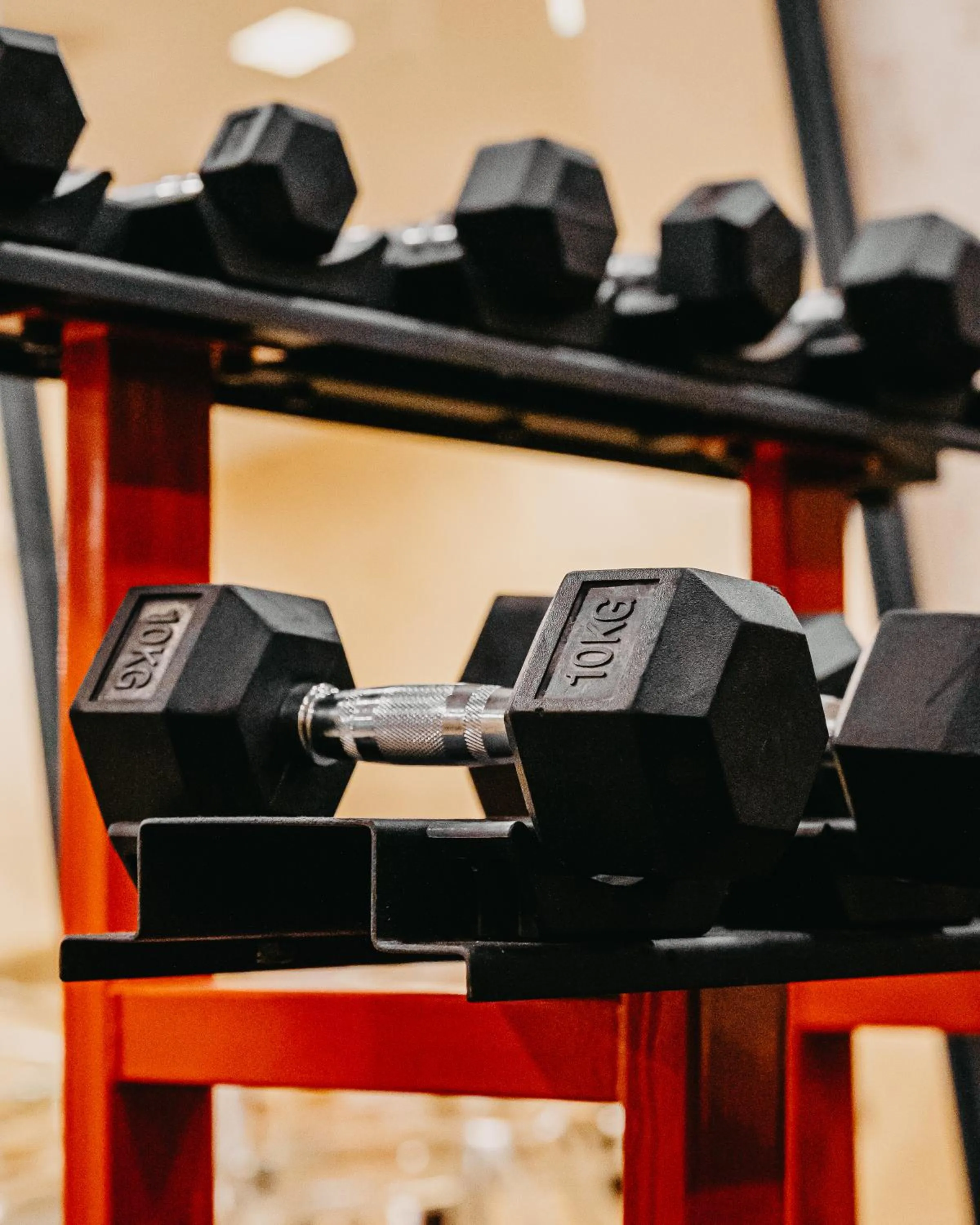 Fitness centre/facilities, Fitness Center/Facilities in The Diamond Hotel Baku