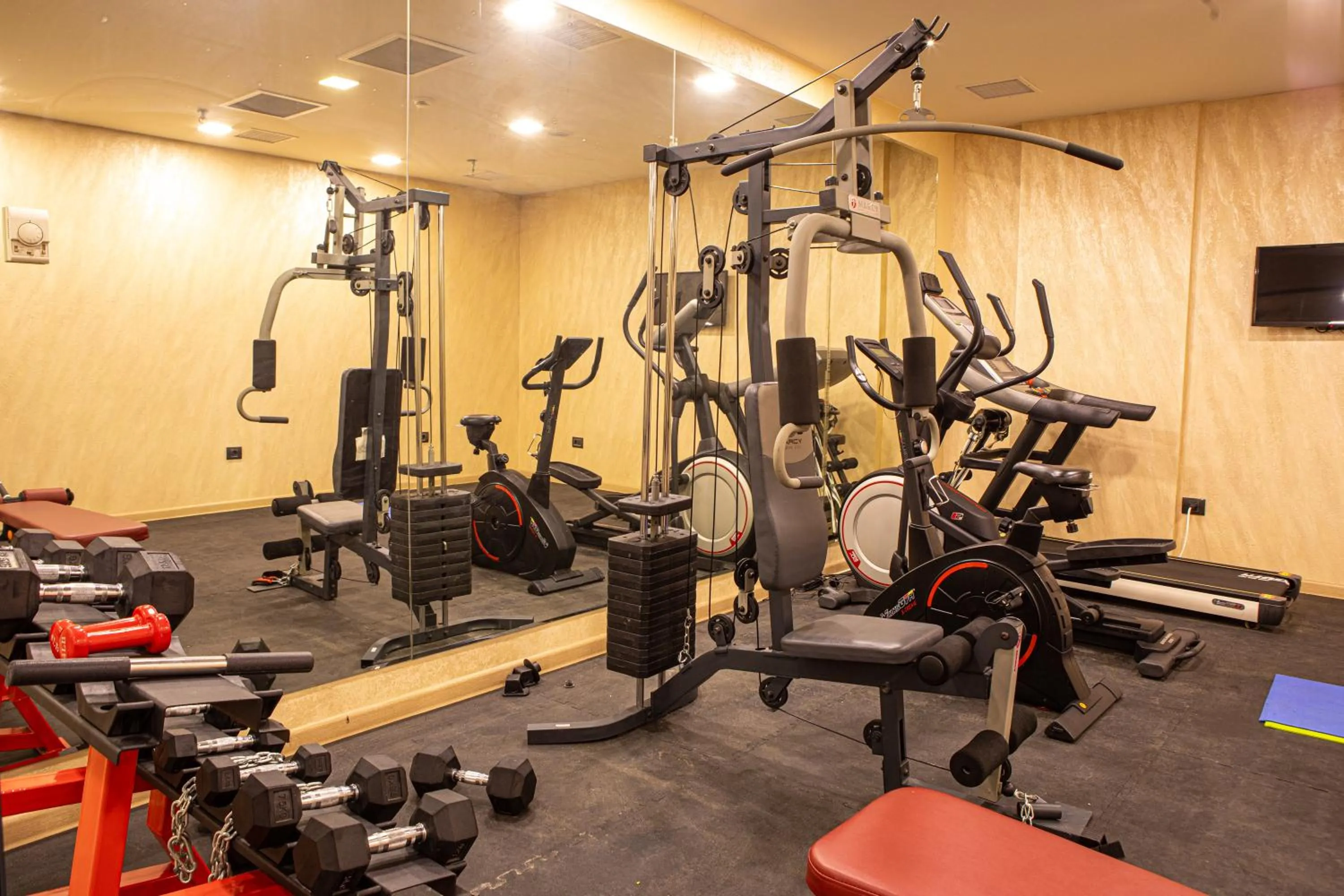 Fitness centre/facilities, Fitness Center/Facilities in The Diamond Hotel Baku