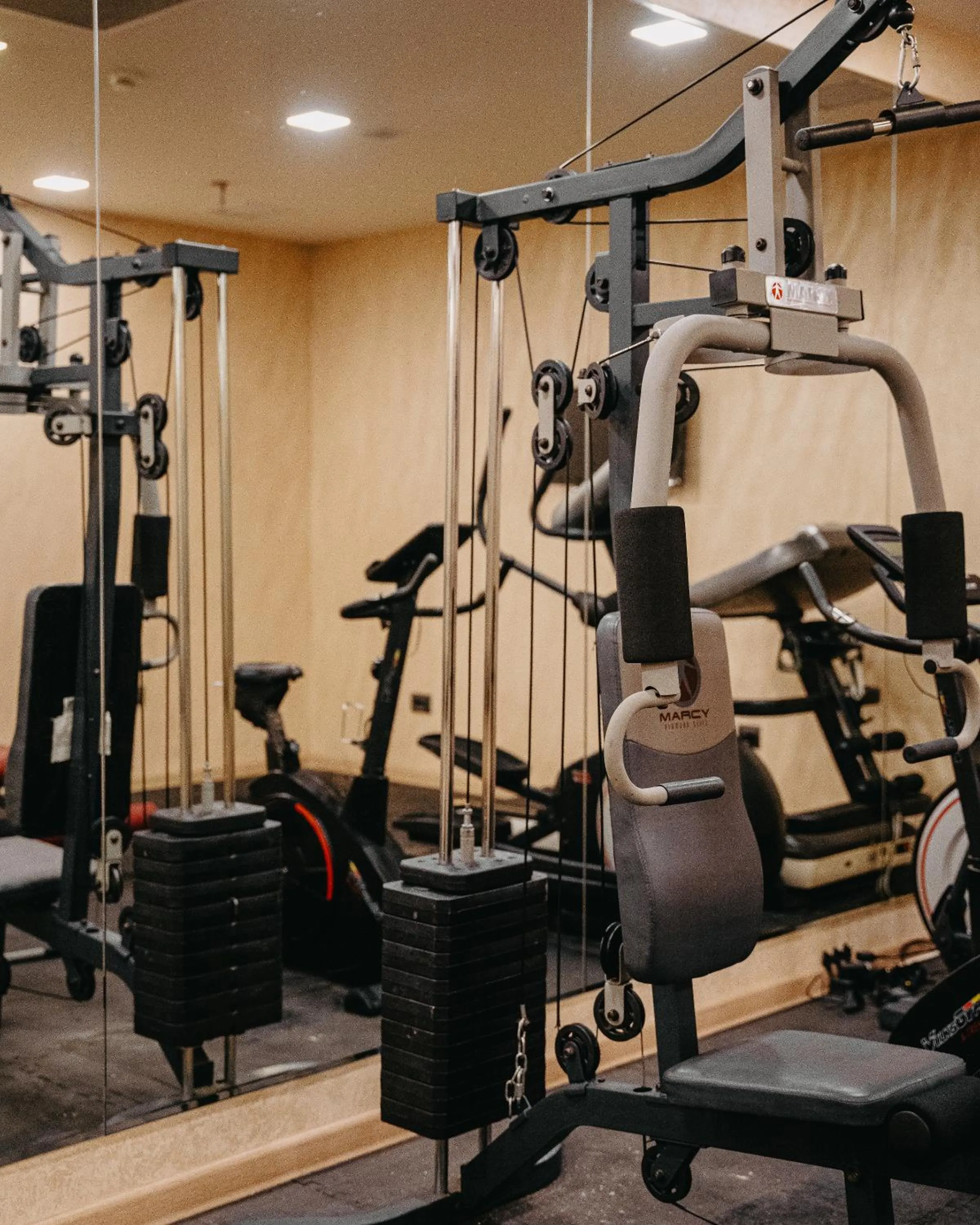 Fitness centre/facilities, Fitness Center/Facilities in The Diamond Hotel Baku