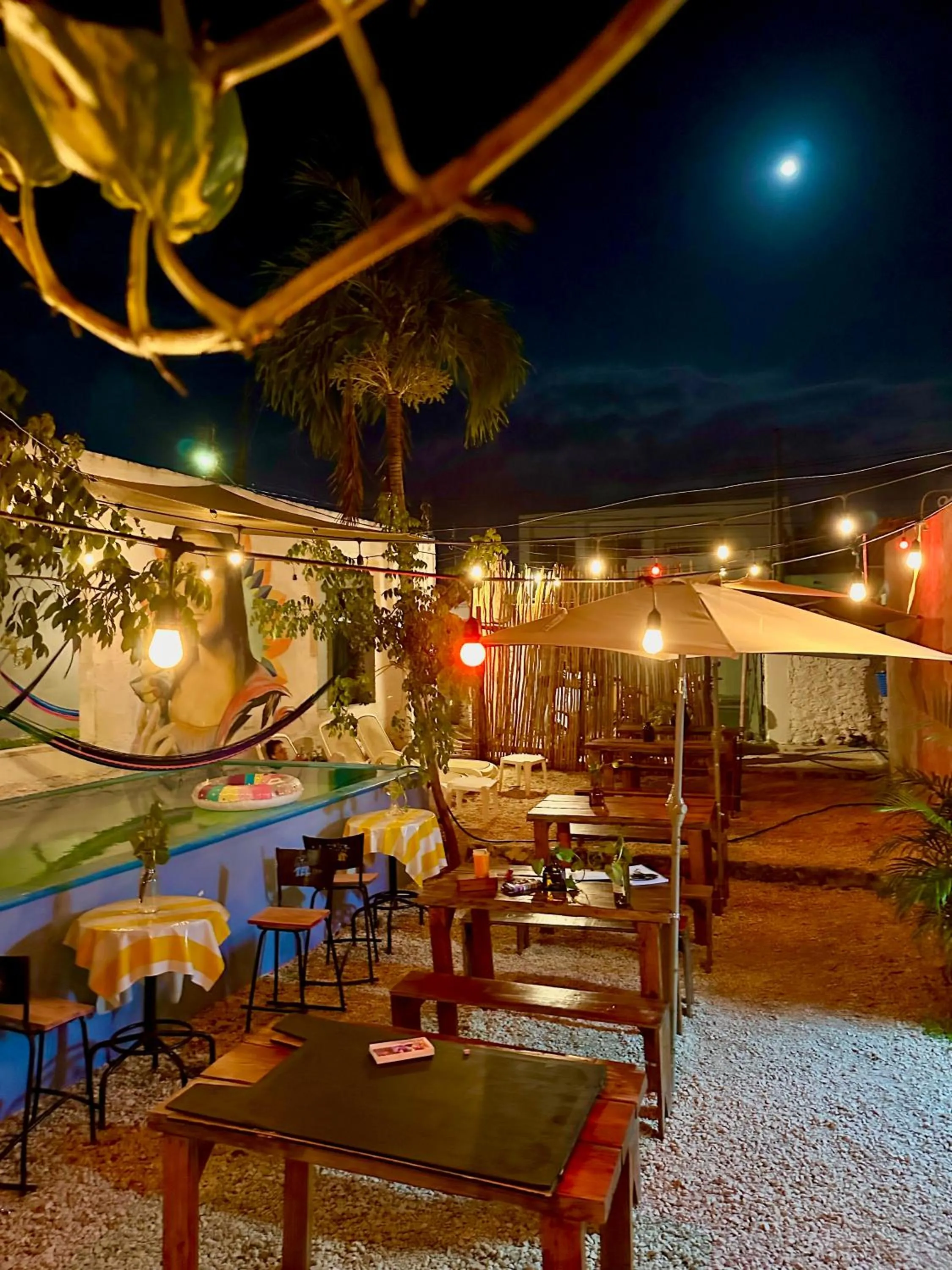 Evening entertainment in Guacamayas Hostel and Social Laundry