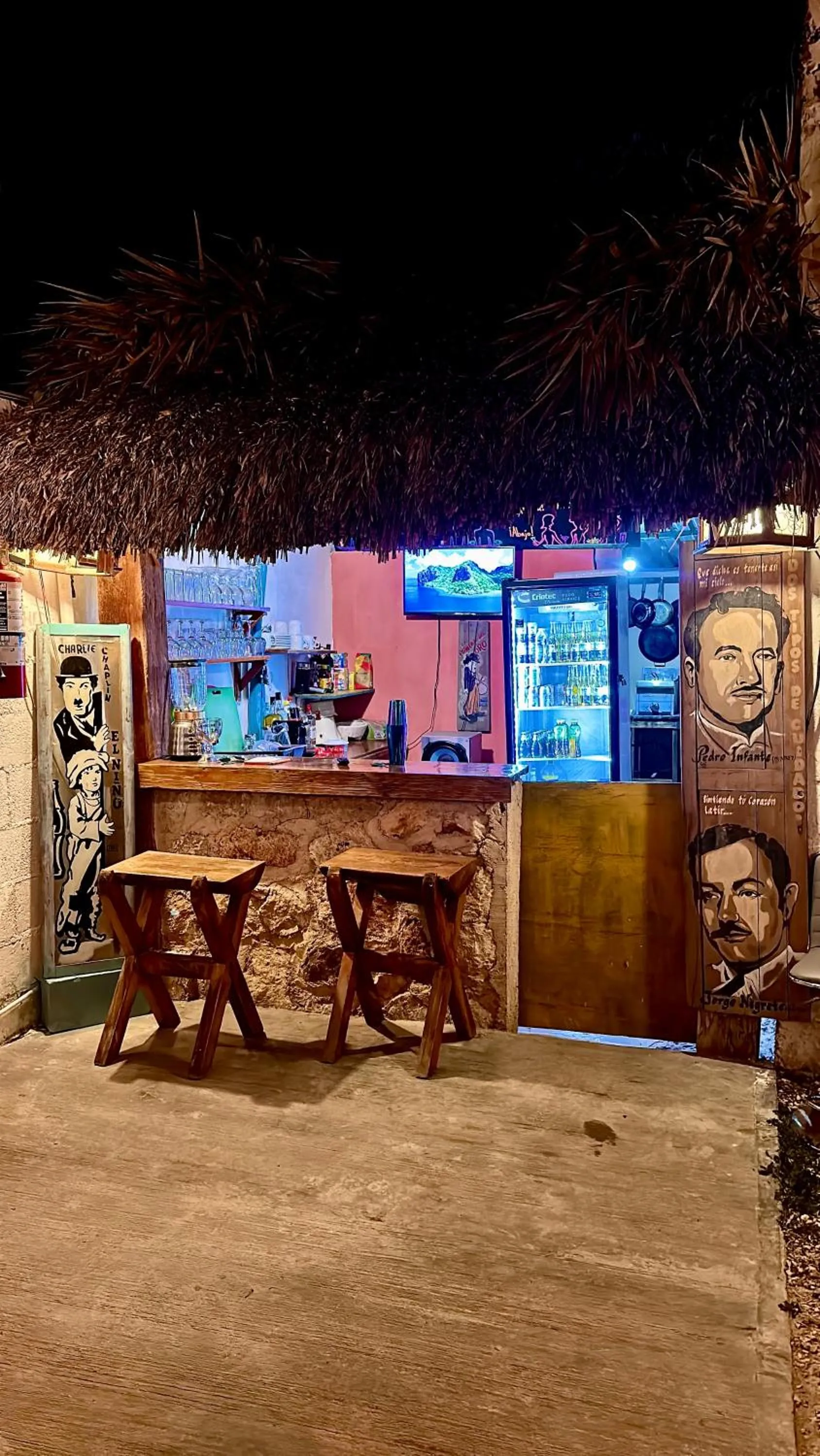 Lounge or bar in Guacamayas Hostel and Social Laundry