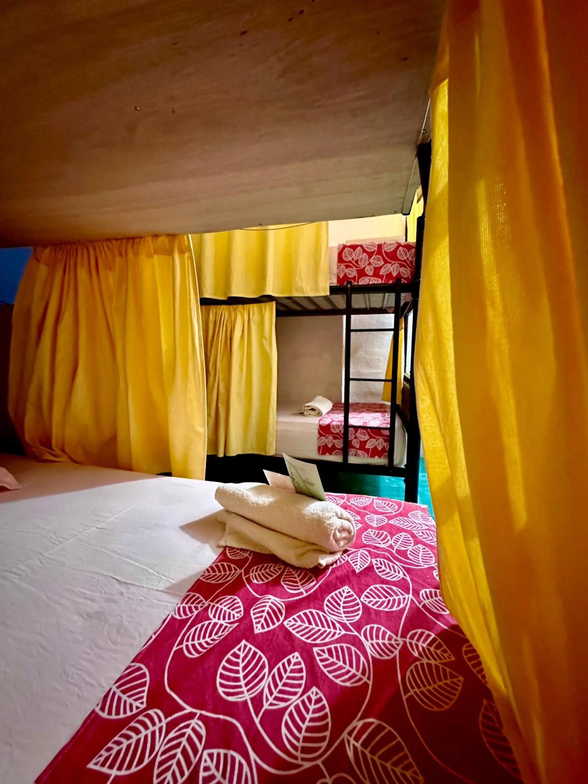 Bed in Guacamayas Hostel and Social Laundry
