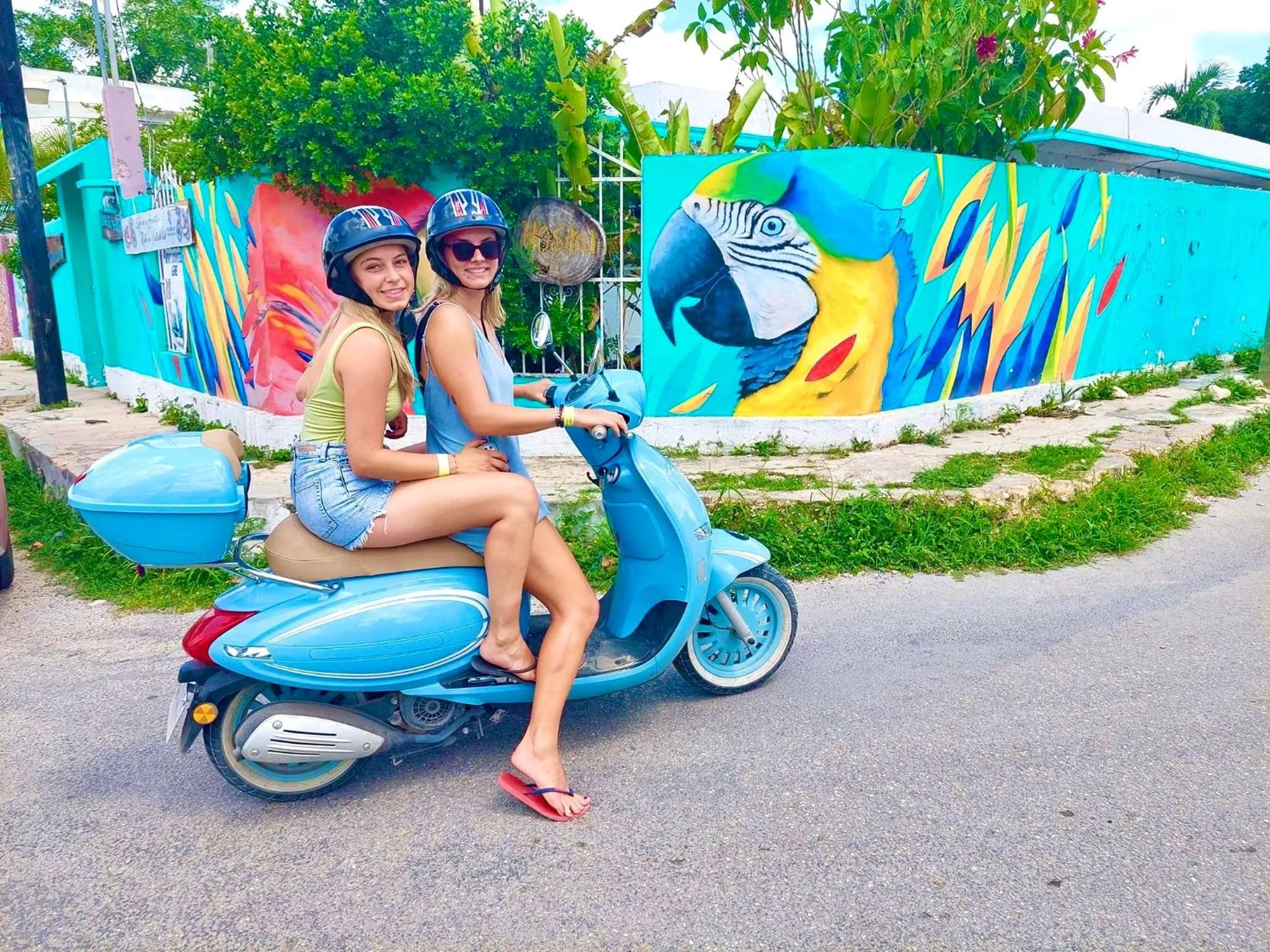 Guests in Guacamayas Hostel and Social Laundry