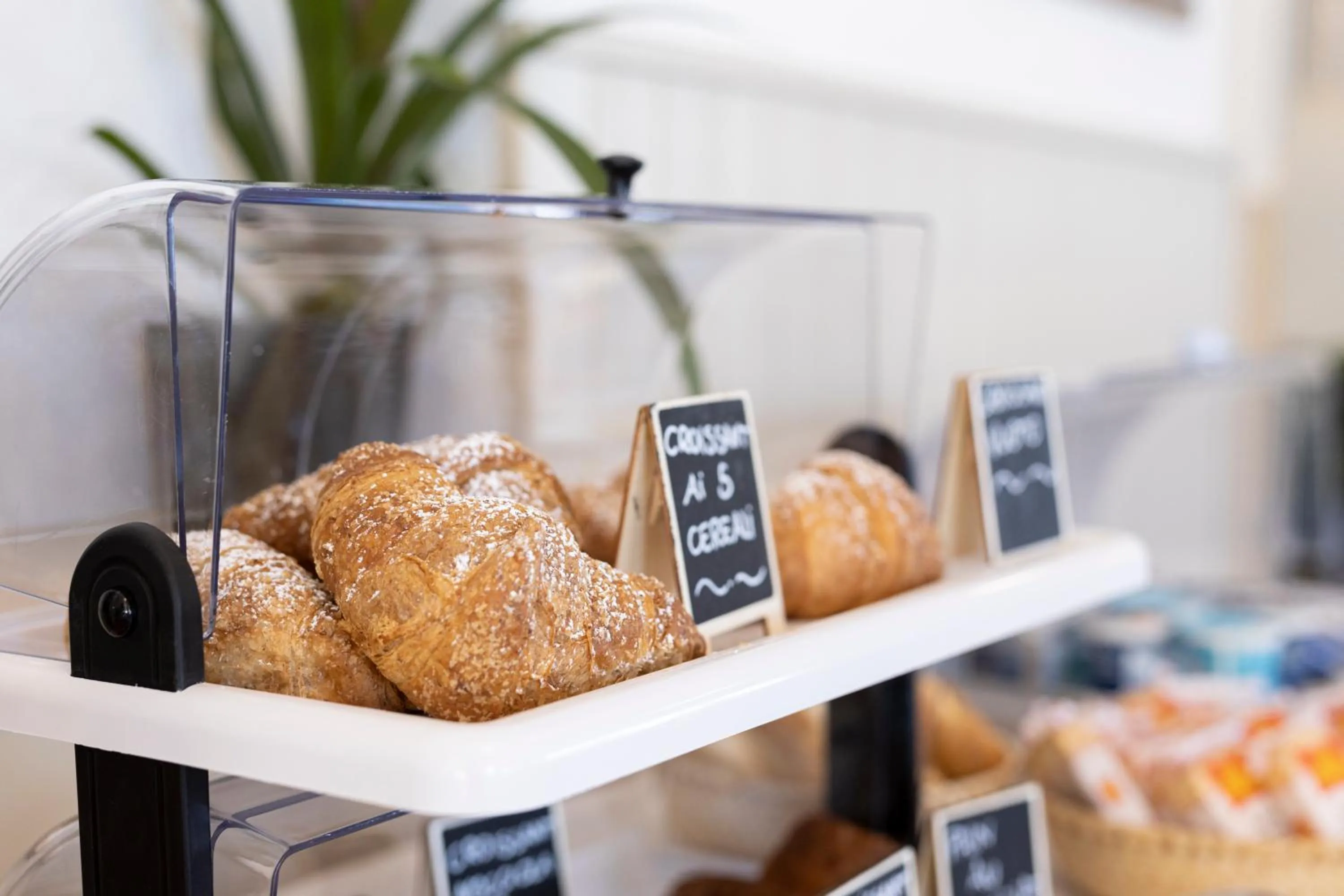 Food and drinks in Hotel Quisisana