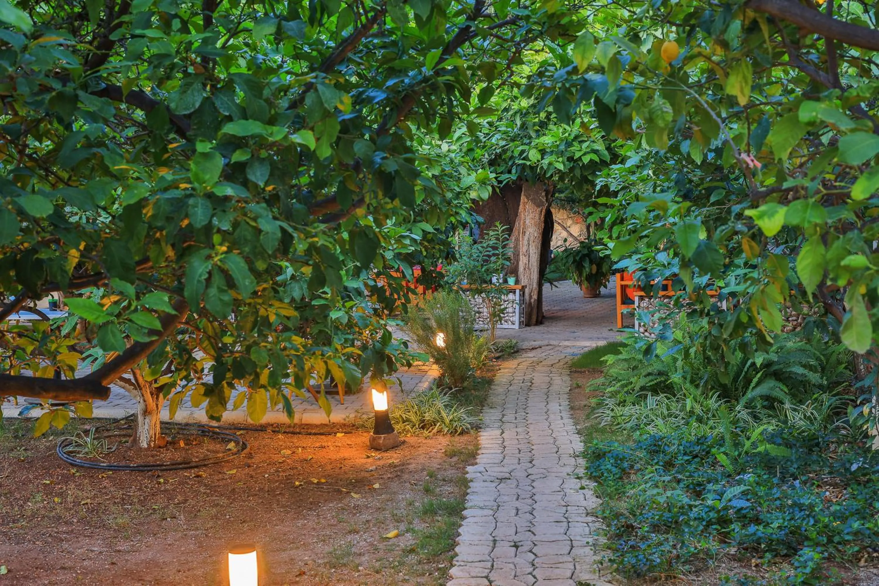 Garden in Harnup Apart