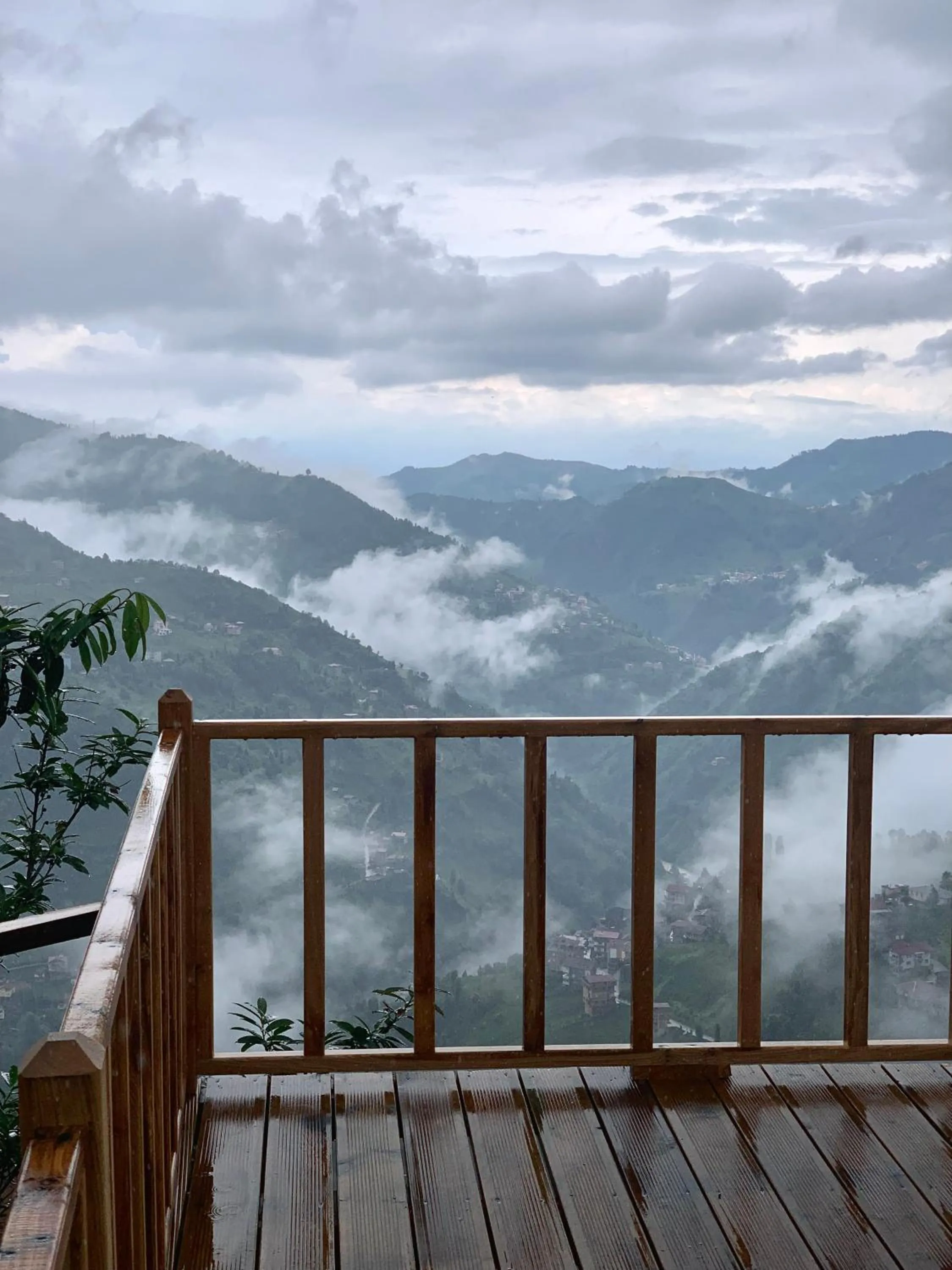 Natural landscape in Bogina Dome & Suite - Çamlıhemşin