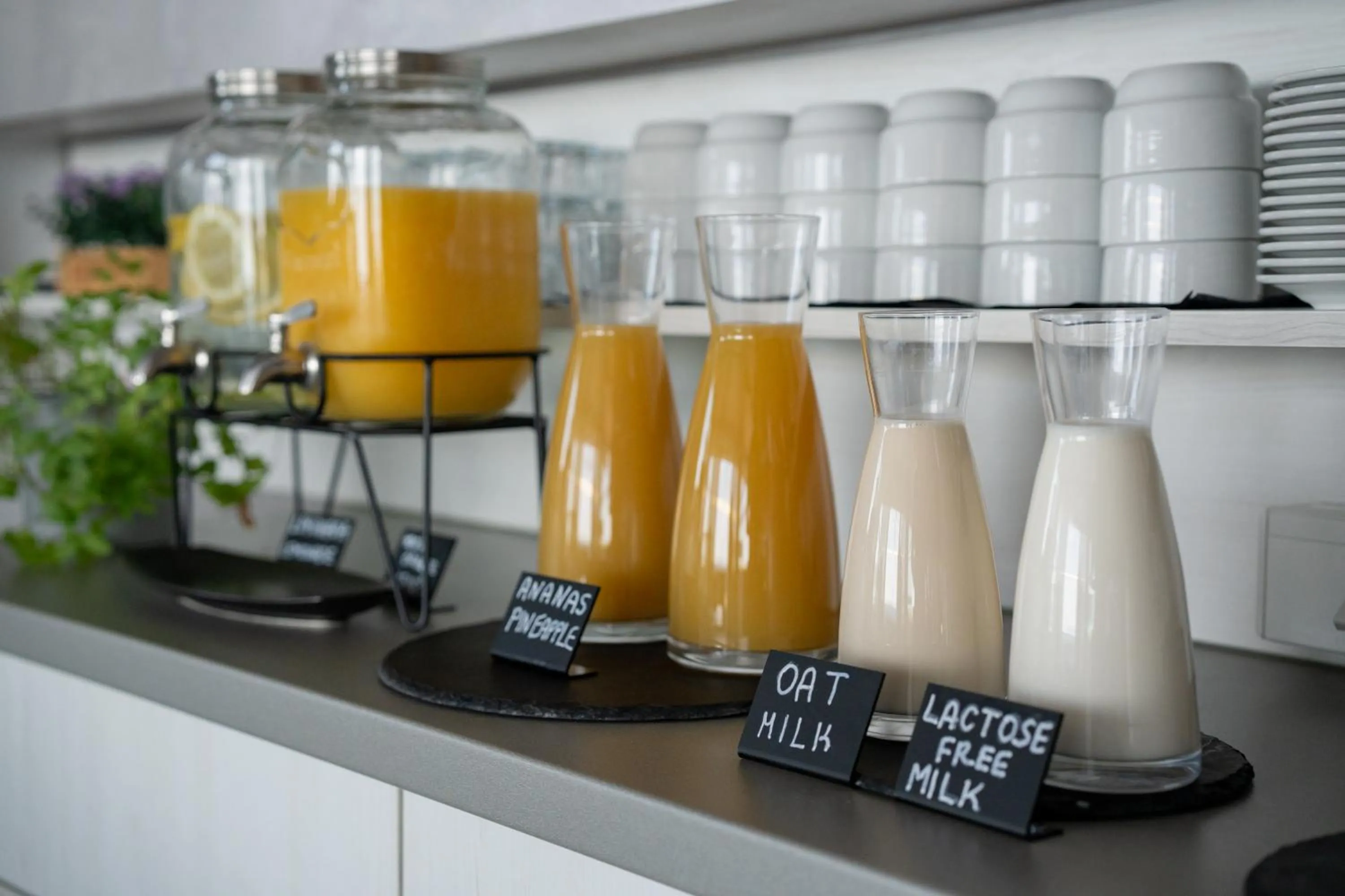 Food and drinks in Bed&Breakfast Novalis