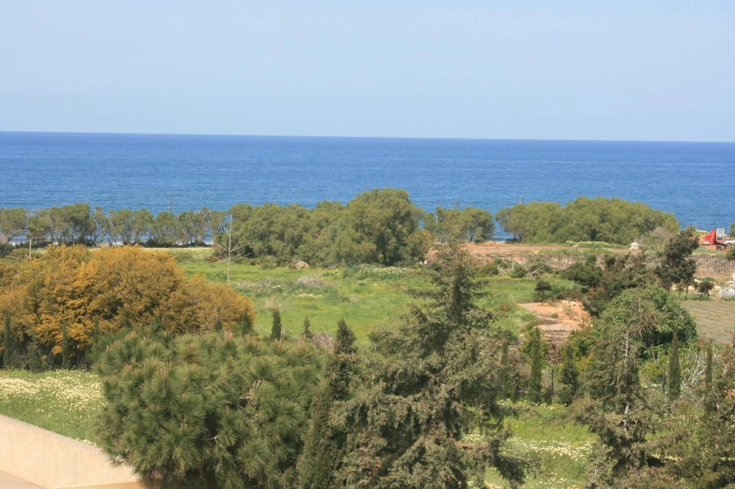 Area and facilities in Eleonora Αnissaras