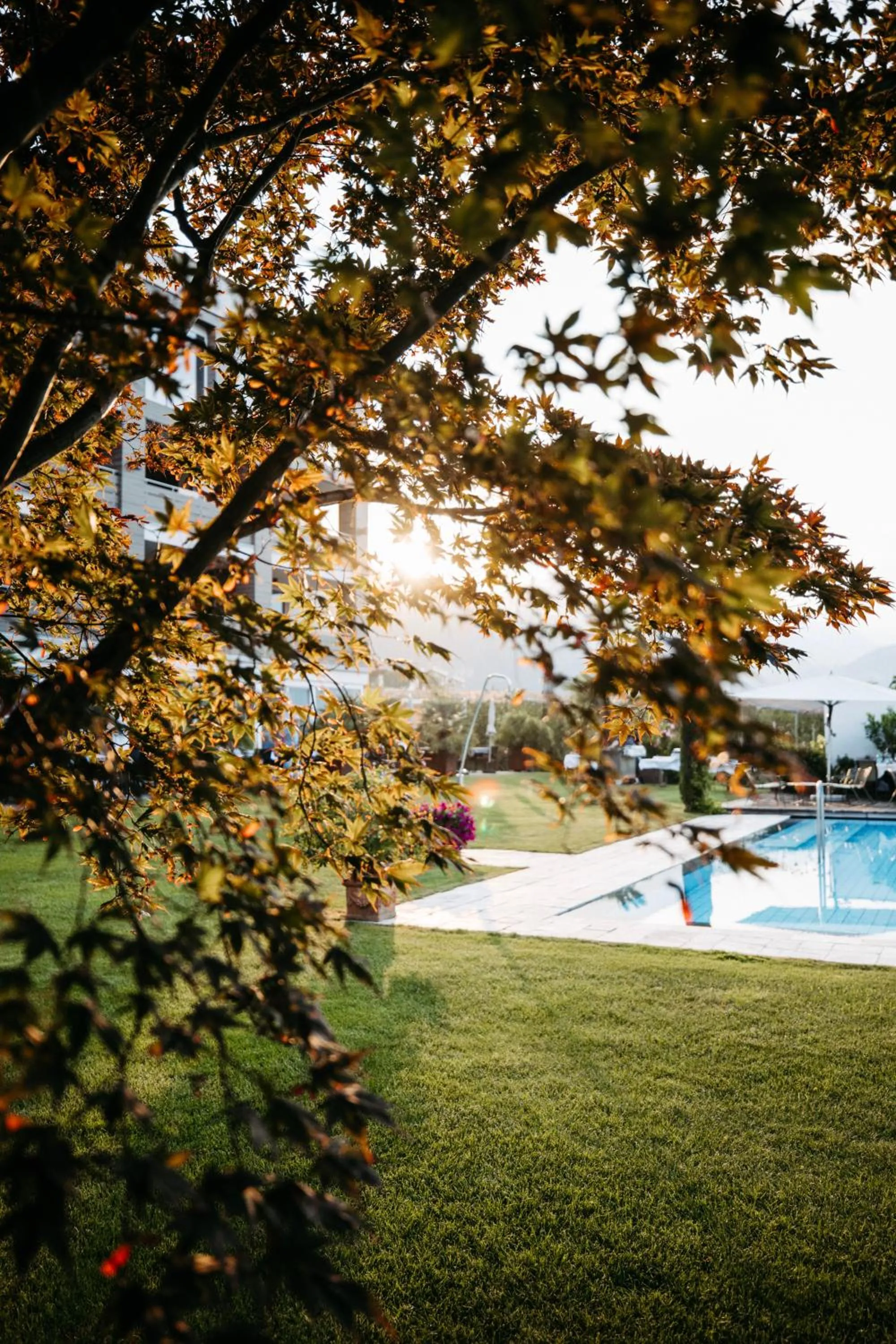 Natural landscape in Hotel Gantkofel