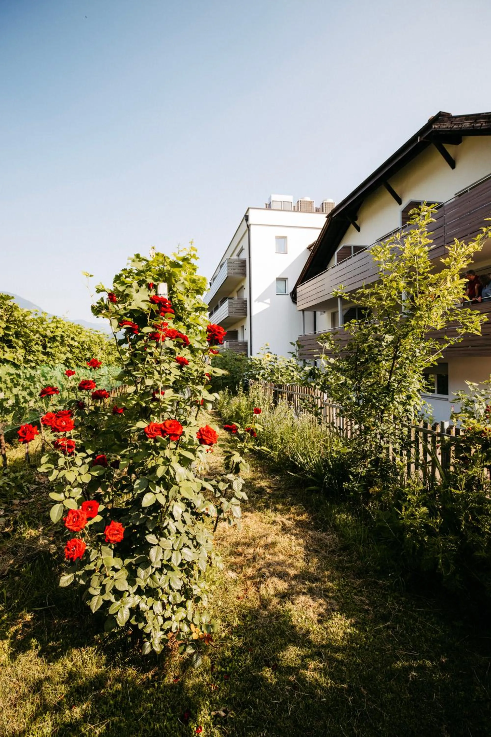 Natural landscape in Hotel Gantkofel
