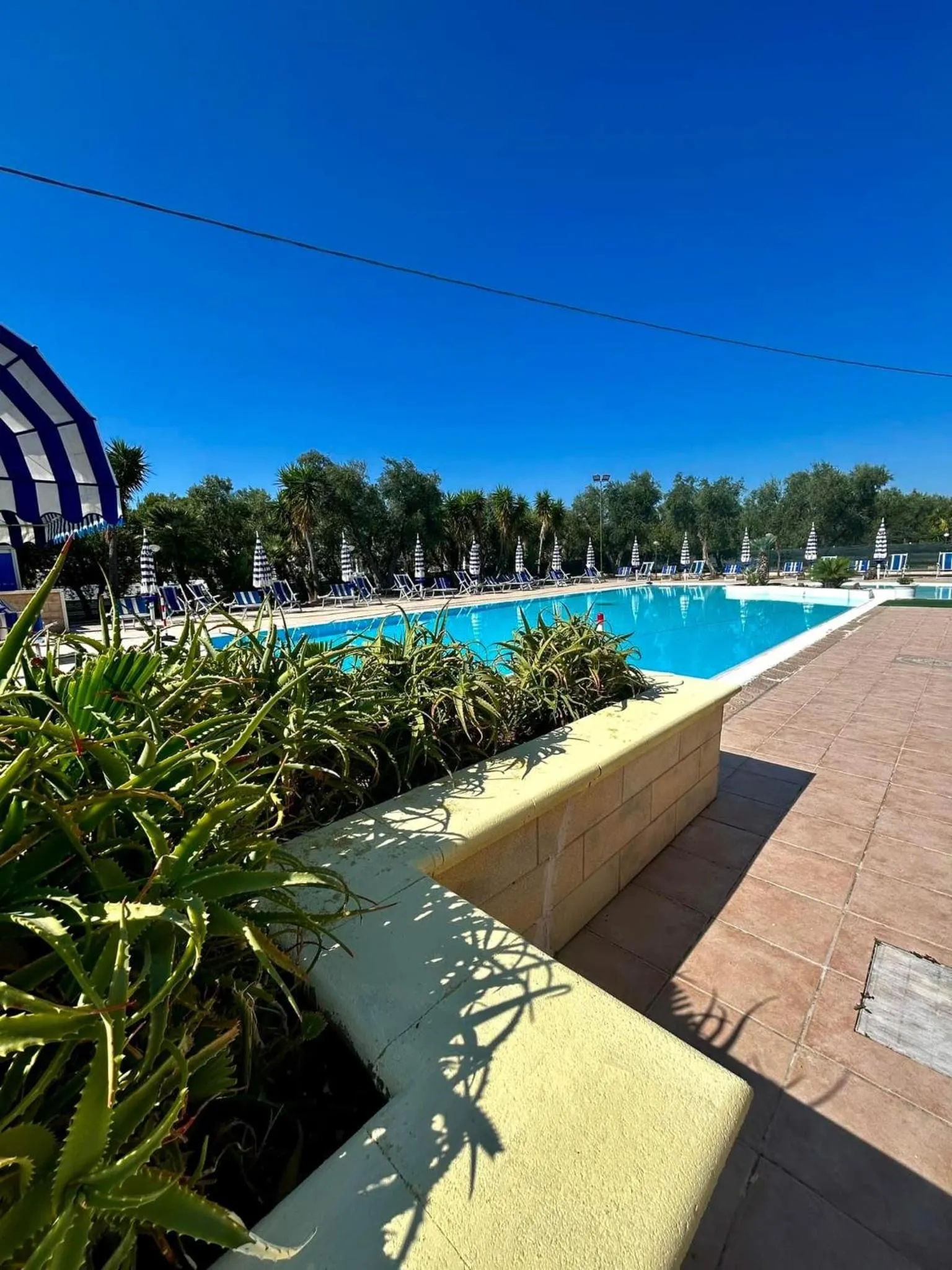 Pool view in Appartamenti Vacanze Minervino