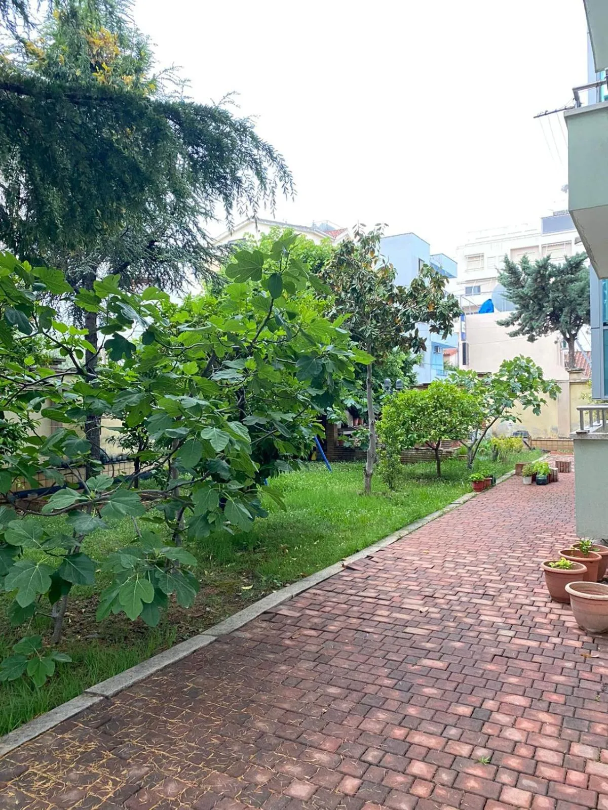 Spring in Green Garden Villa