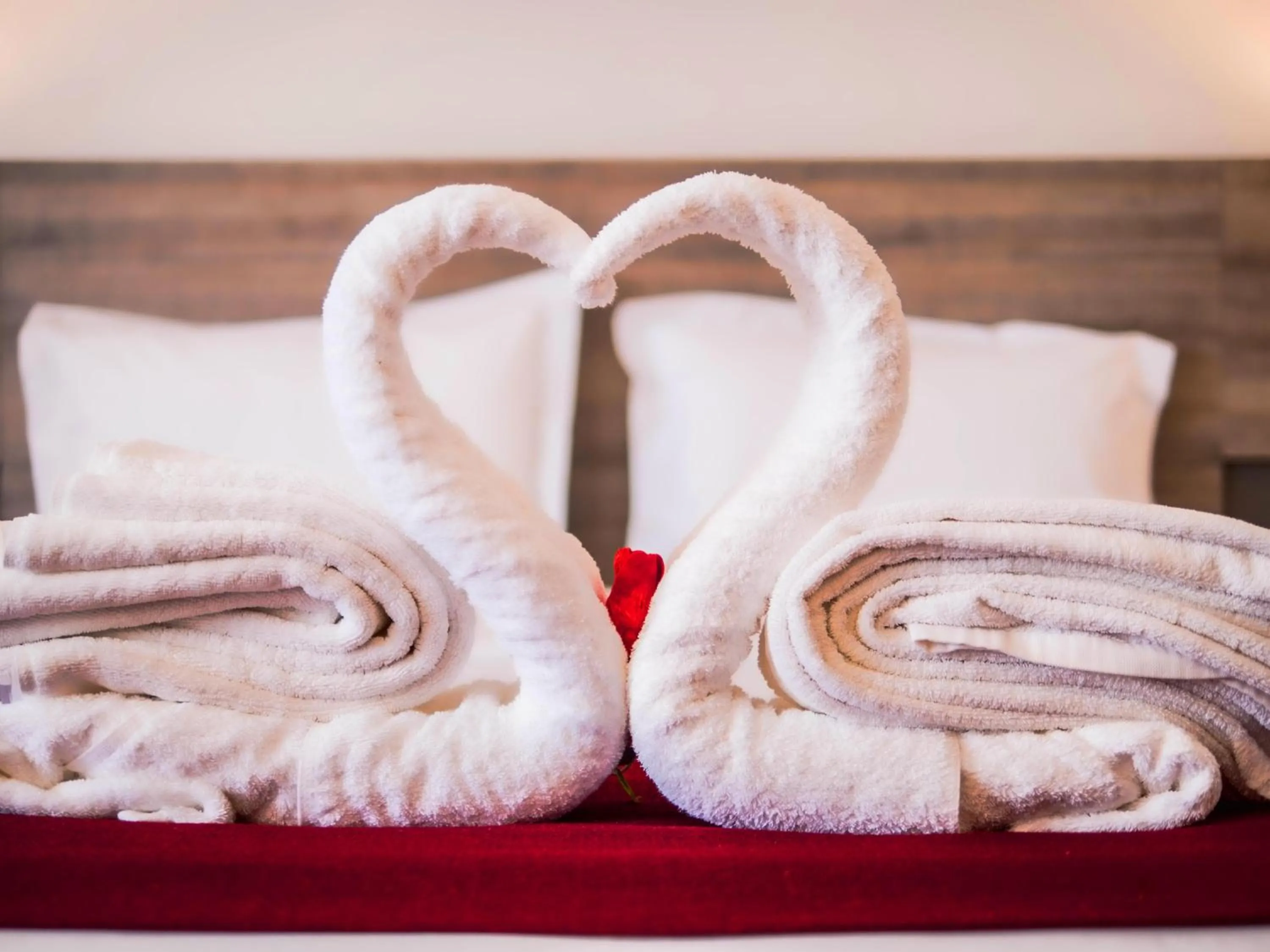 Bed in Hotel Monotel Dar El Barka