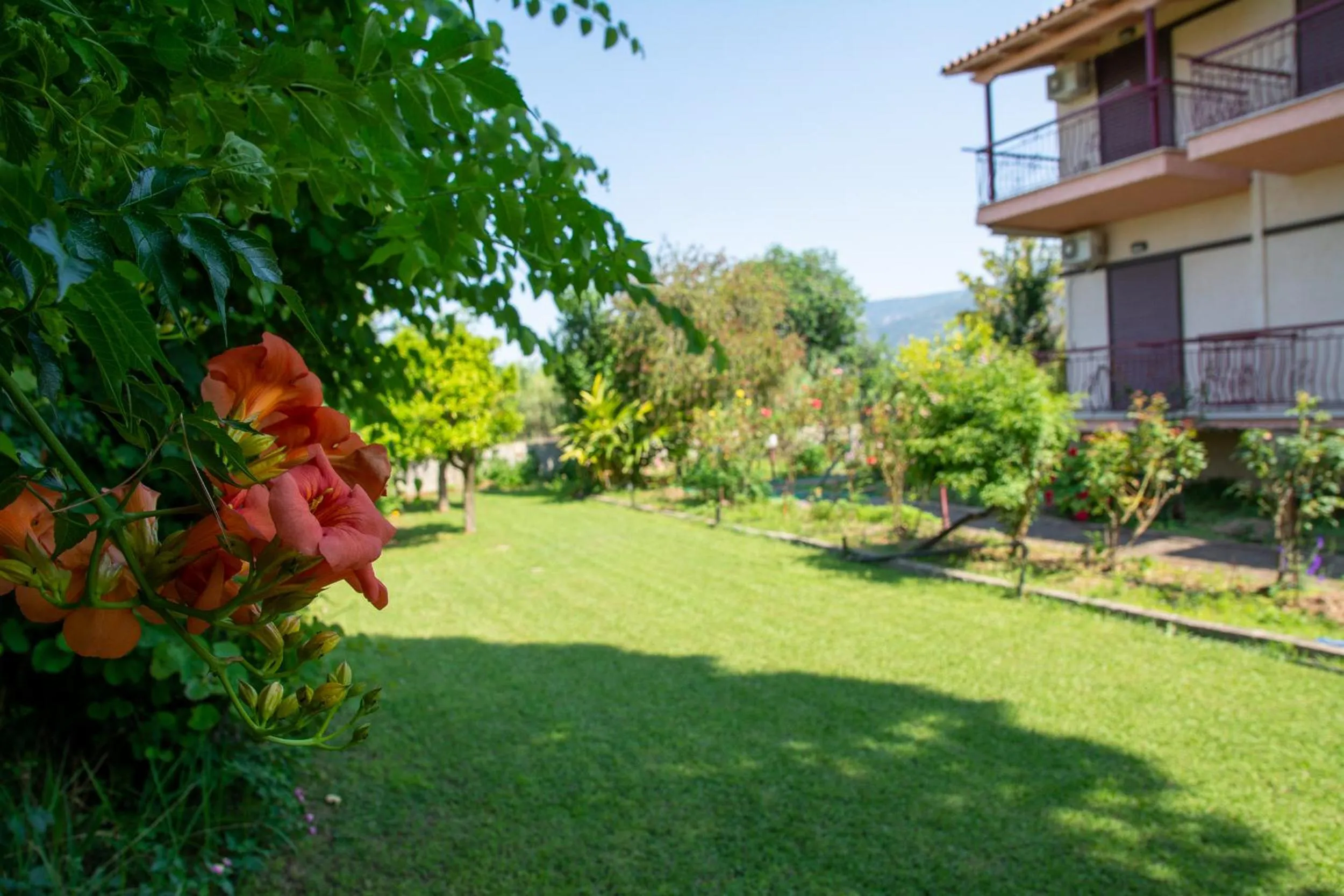 Garden in Ritsinia Apartments