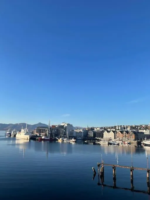 Day in Vervet apartment