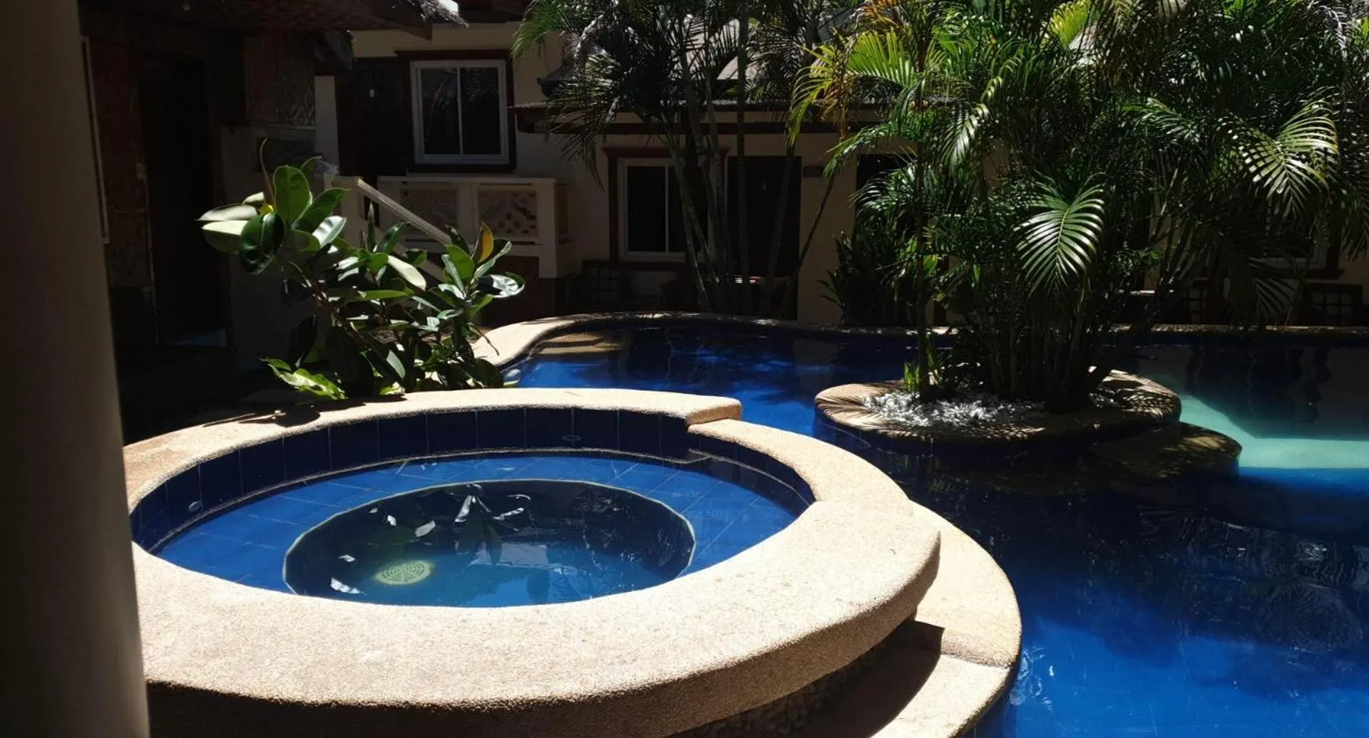 Swimming pool in birdwatchers beachfront hotel panglao