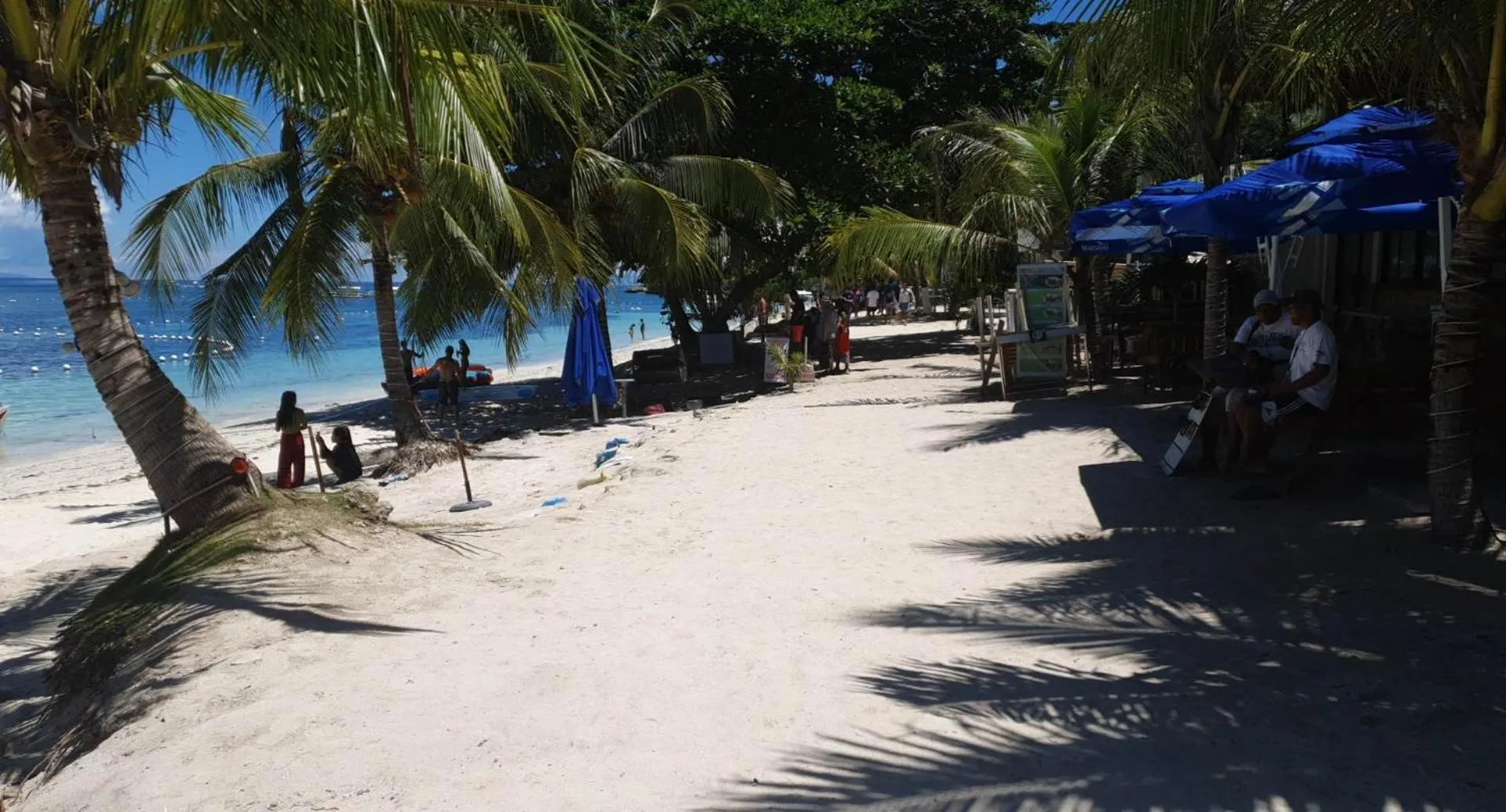 Beach in birdwatchers beachfront hotel panglao