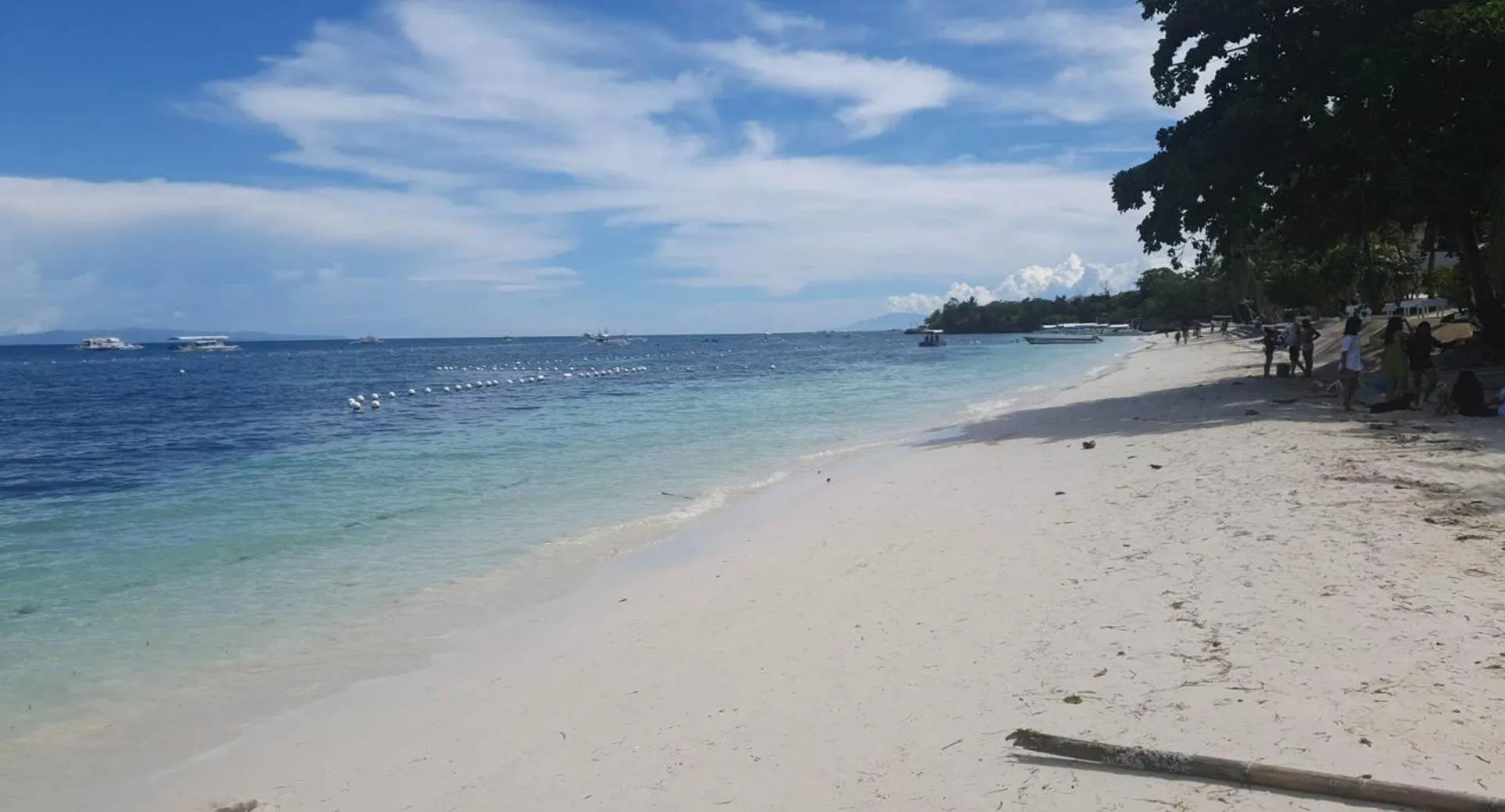 Beach in birdwatchers beachfront hotel panglao