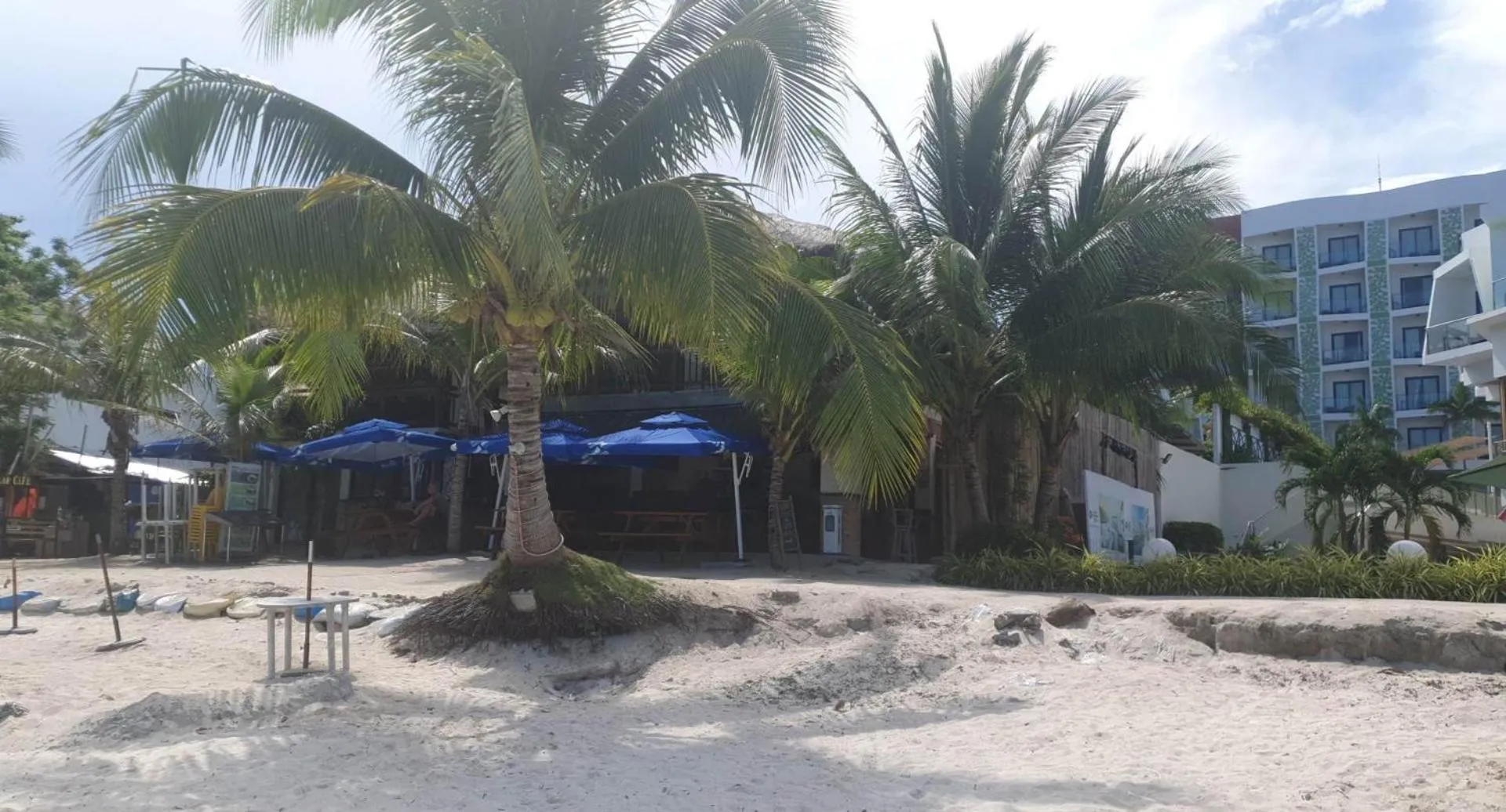 Property building in birdwatchers beachfront hotel panglao