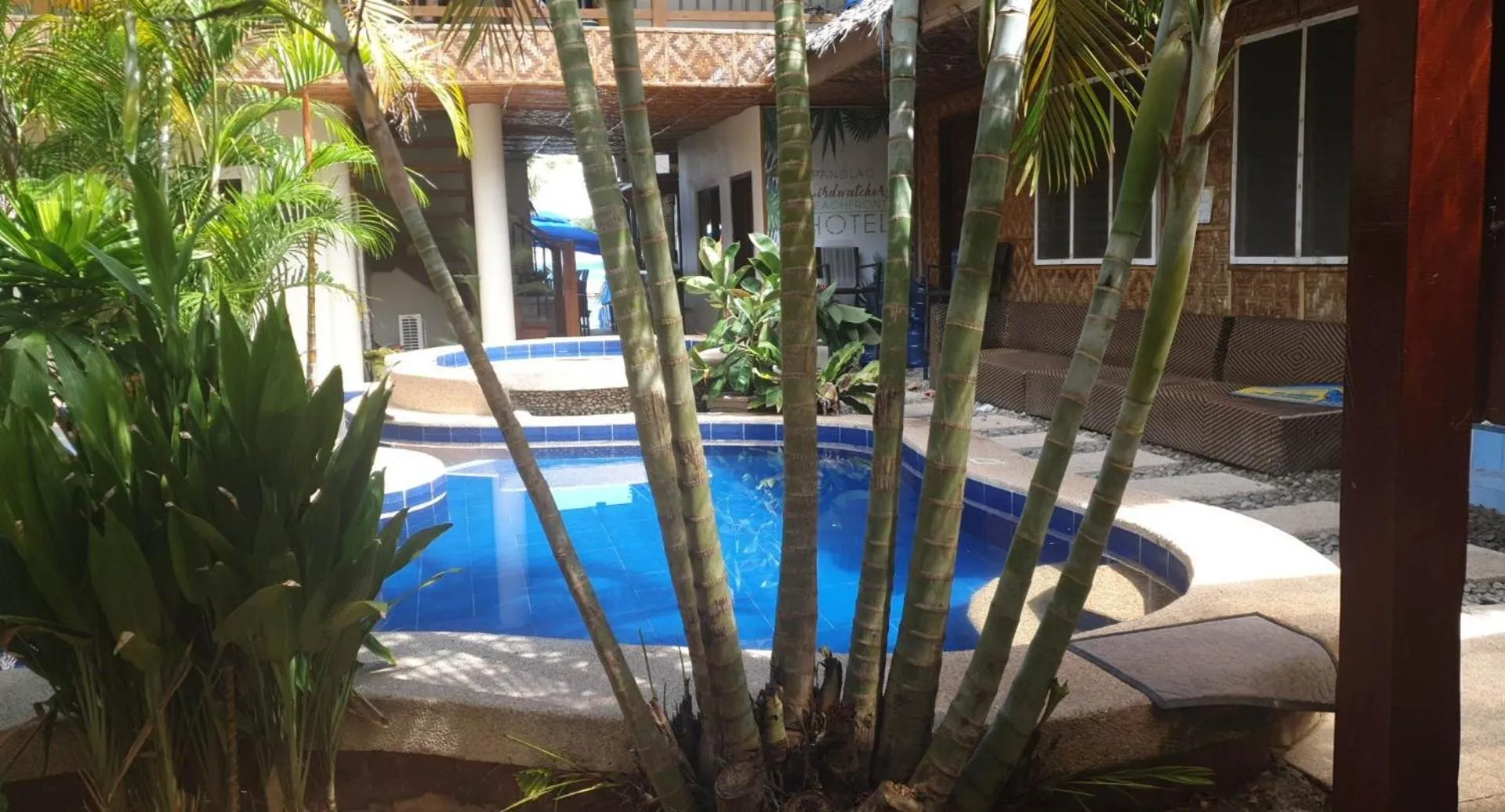 Swimming pool in birdwatchers beachfront hotel panglao