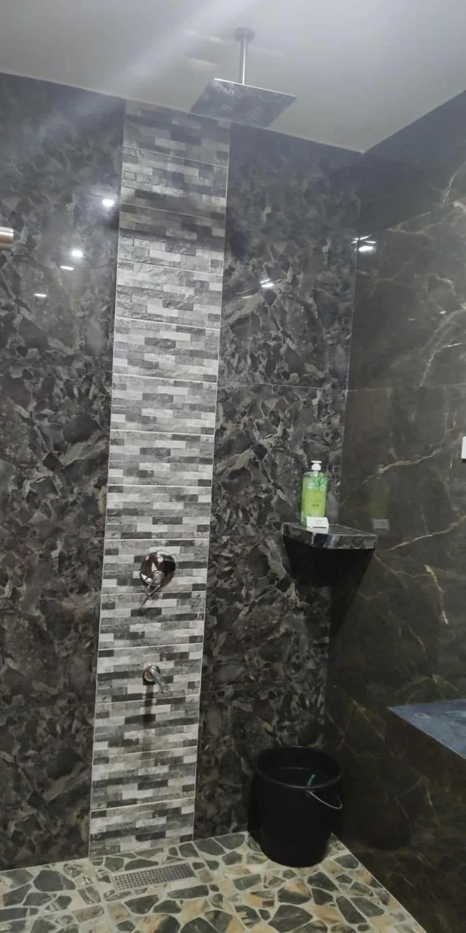 birdwatchers beachfront hotel panglao