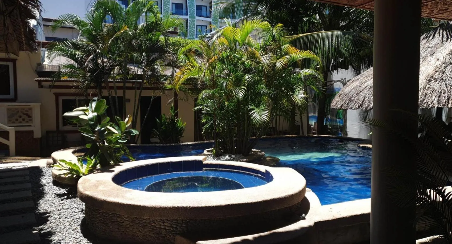 Swimming pool in birdwatchers beachfront hotel panglao