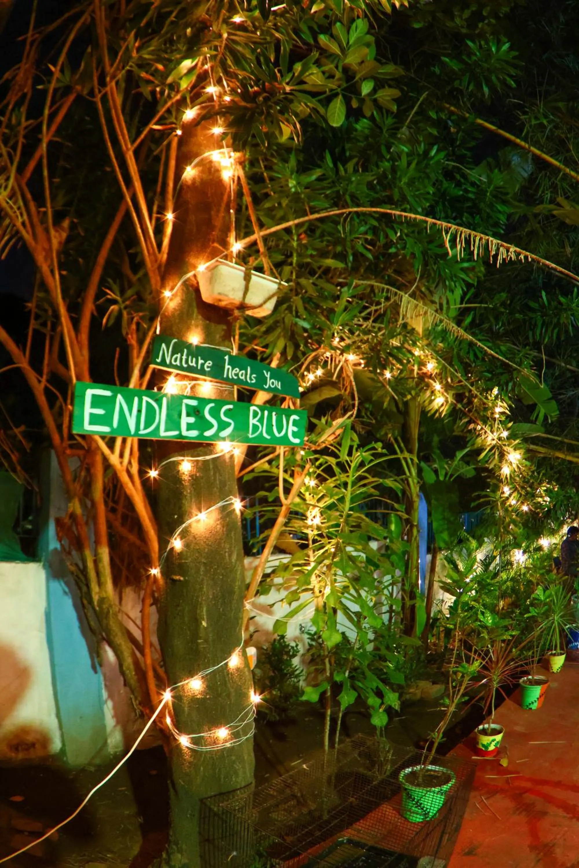 Night in Endless Blue Hostel