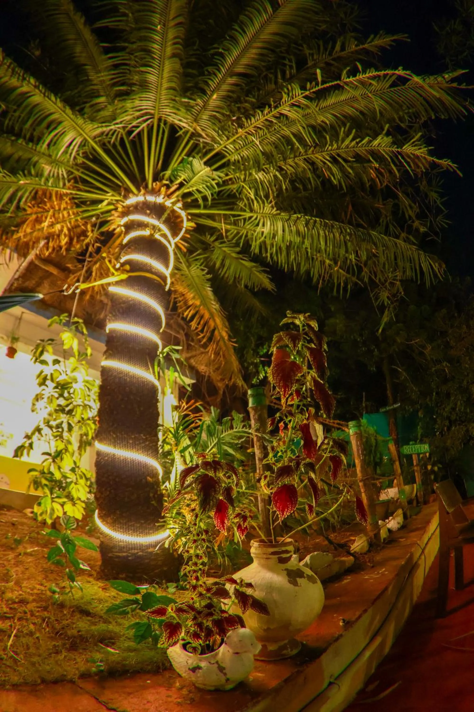 Night in Endless Blue Hostel