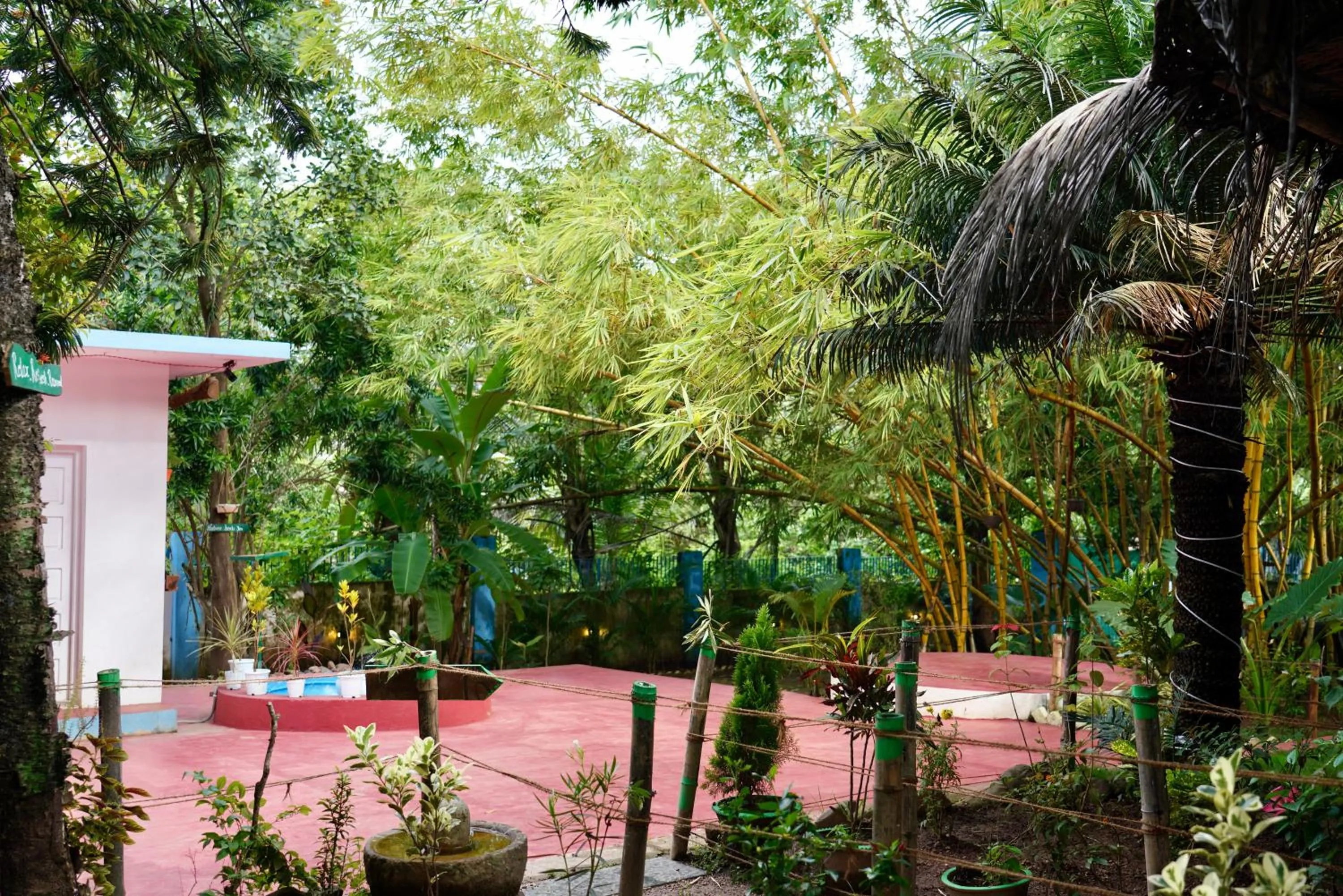 Garden in Endless Blue Hostel