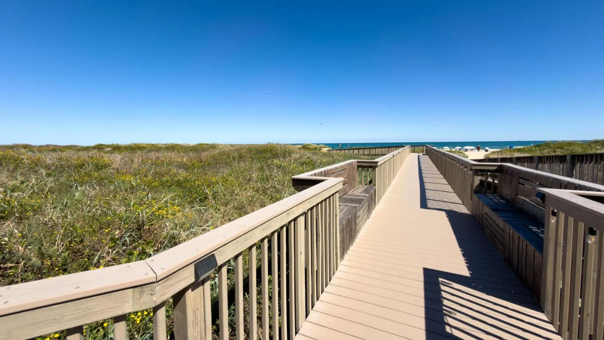 Other in Sapphire 1706