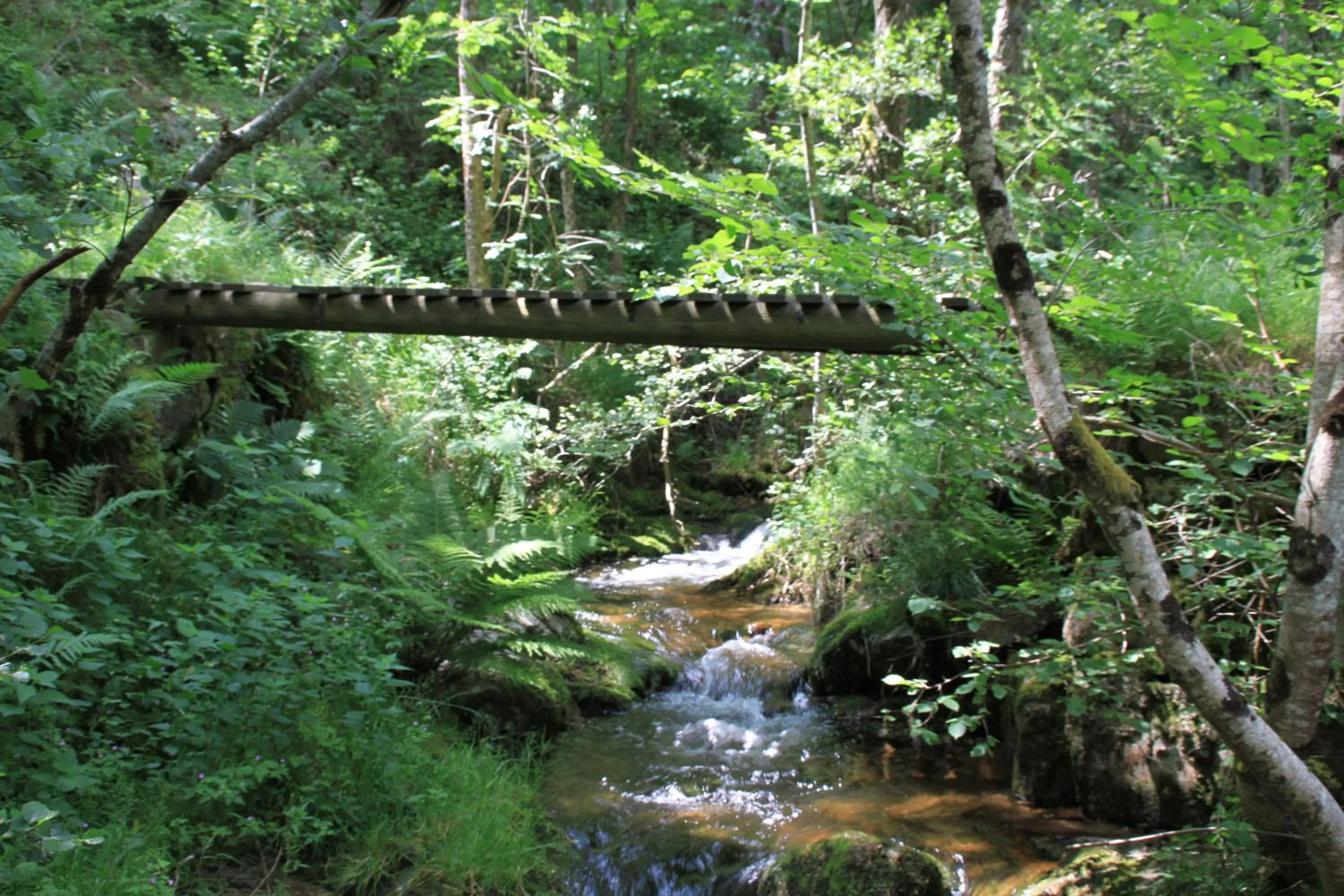 Nearby landmark in Les Chambres d'Hôtes Le Triskèle