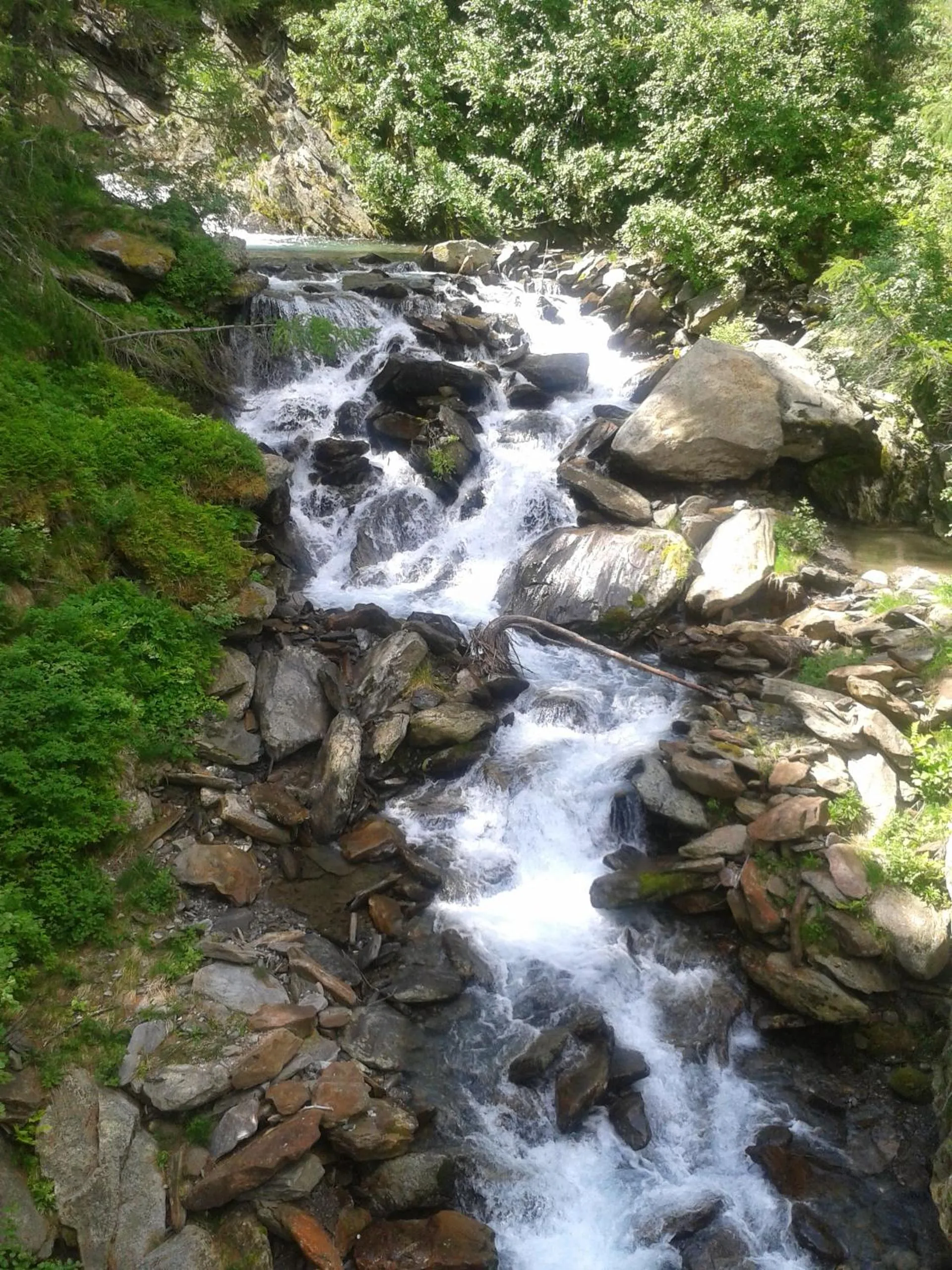 Hiking in Hotel Restaurant Rosmarie