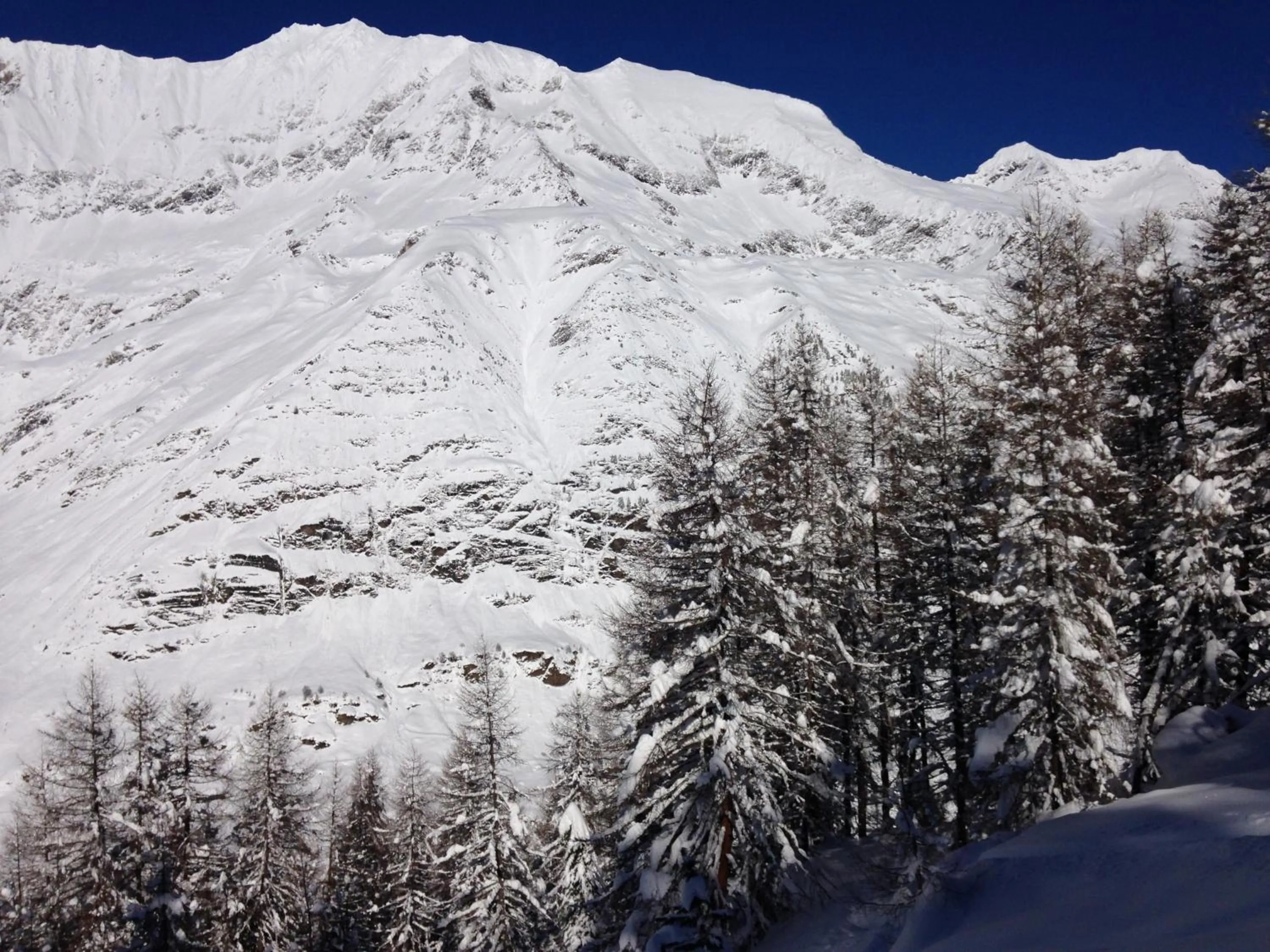 Natural landscape in Hotel Restaurant Rosmarie