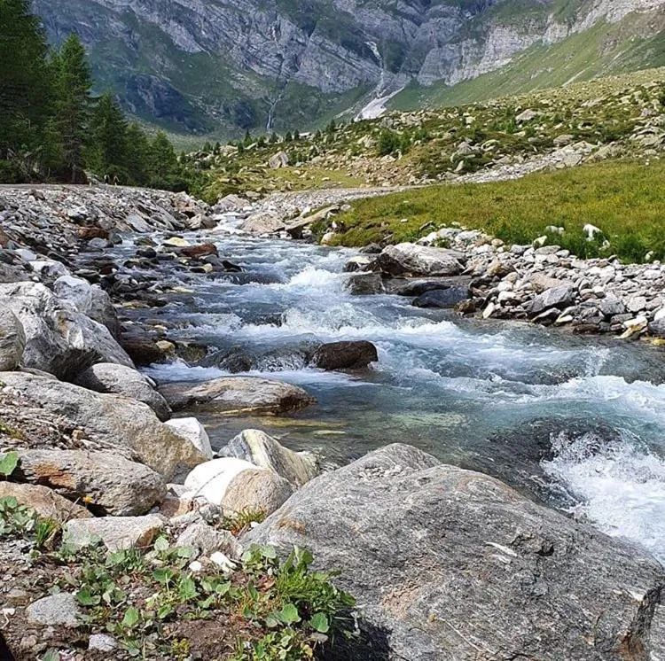 Hiking in Hotel Restaurant Rosmarie