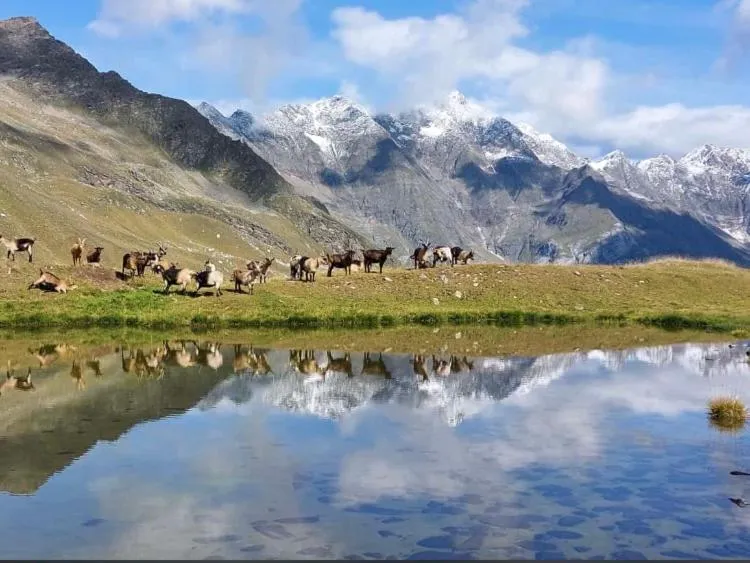 Hiking in Hotel Restaurant Rosmarie