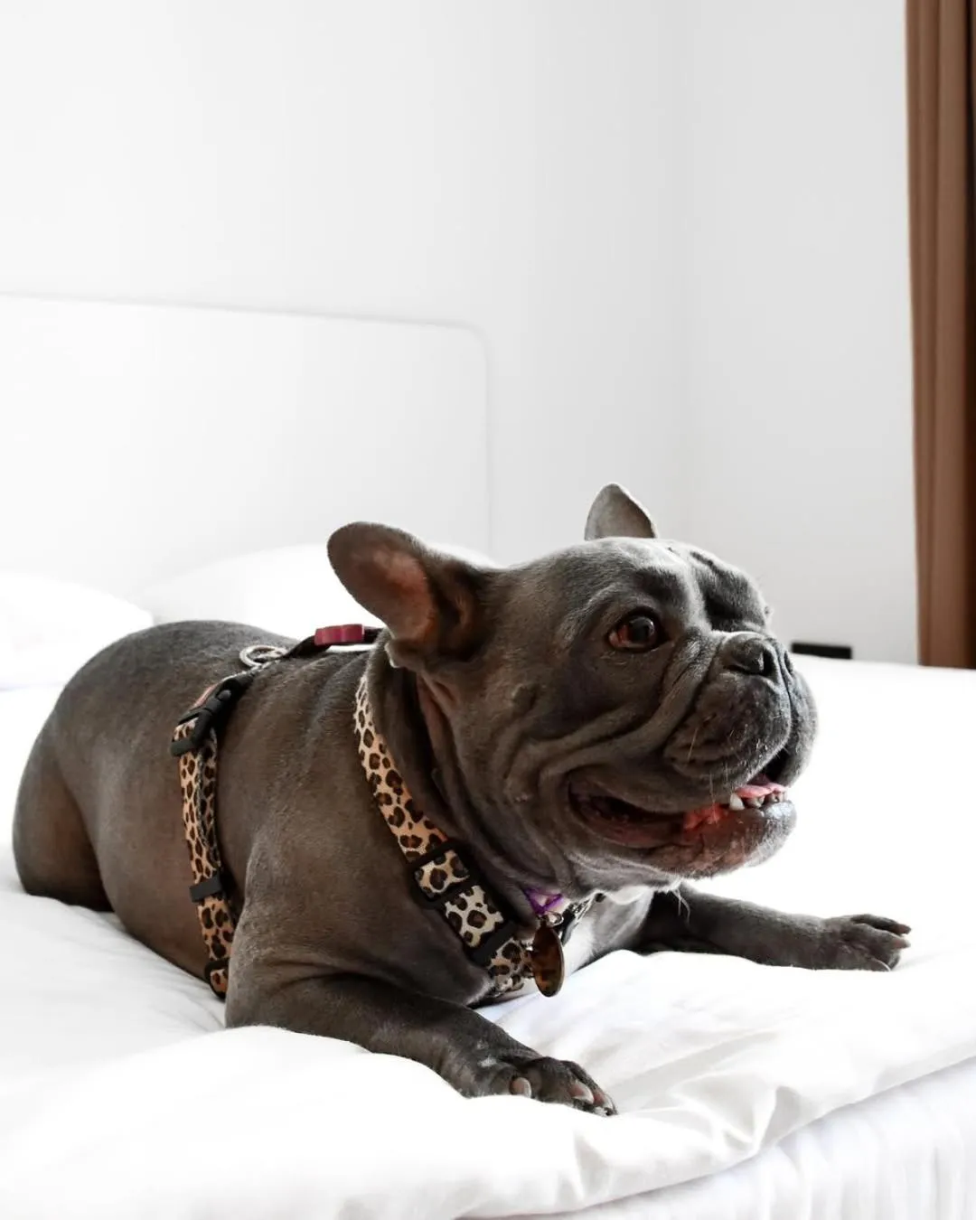 Photo of the whole room in Ultramarinn Hotel