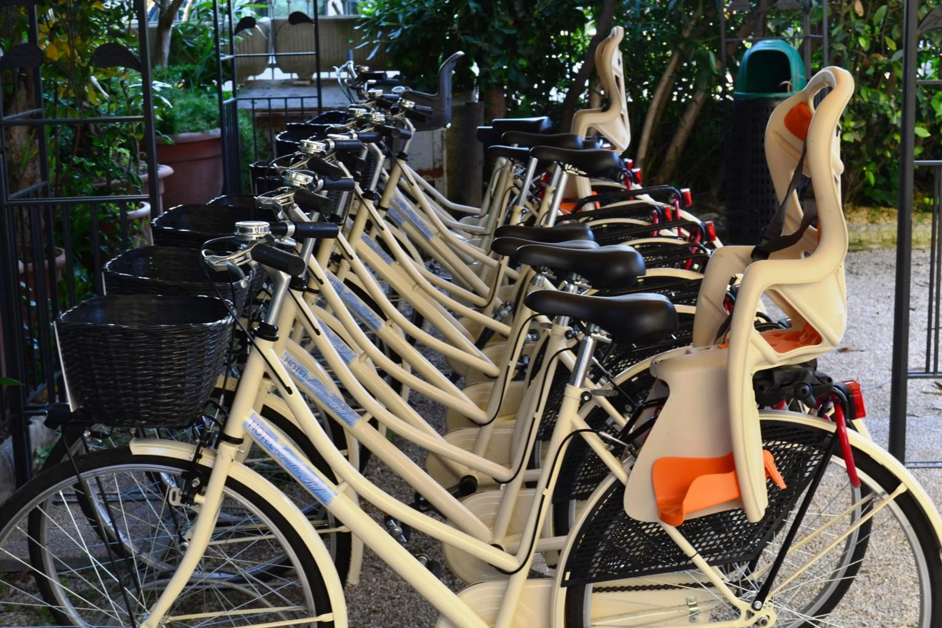 Cycling in Hotel Quattro Palme