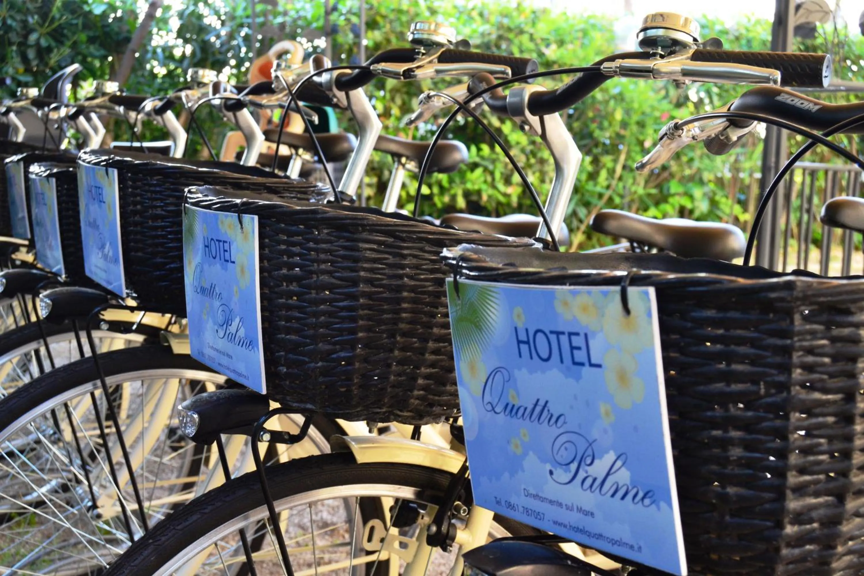 Cycling in Hotel Quattro Palme
