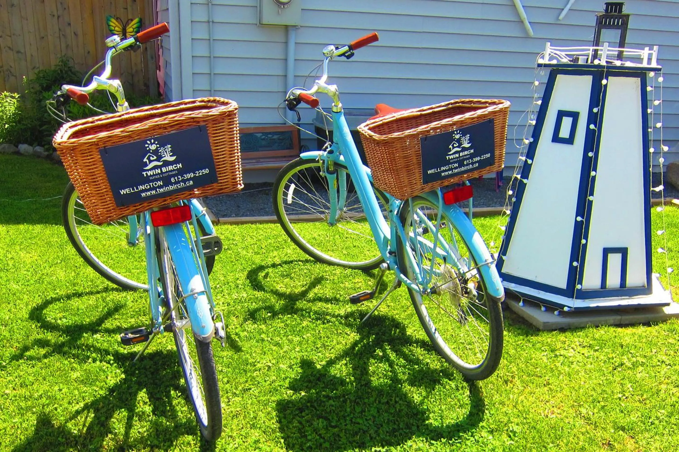 Cycling in The Birch
