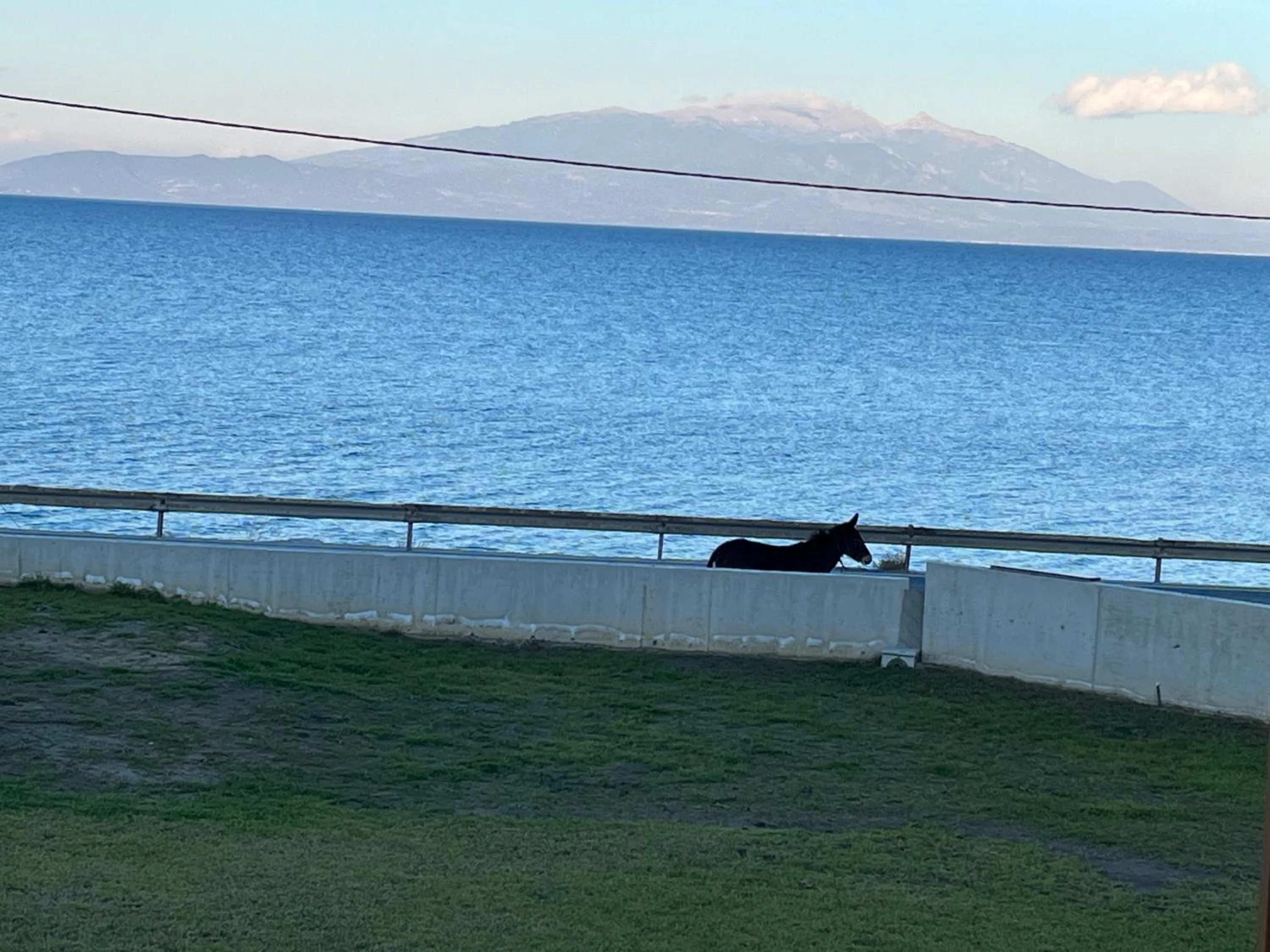 Sea view in Balance Accommodation