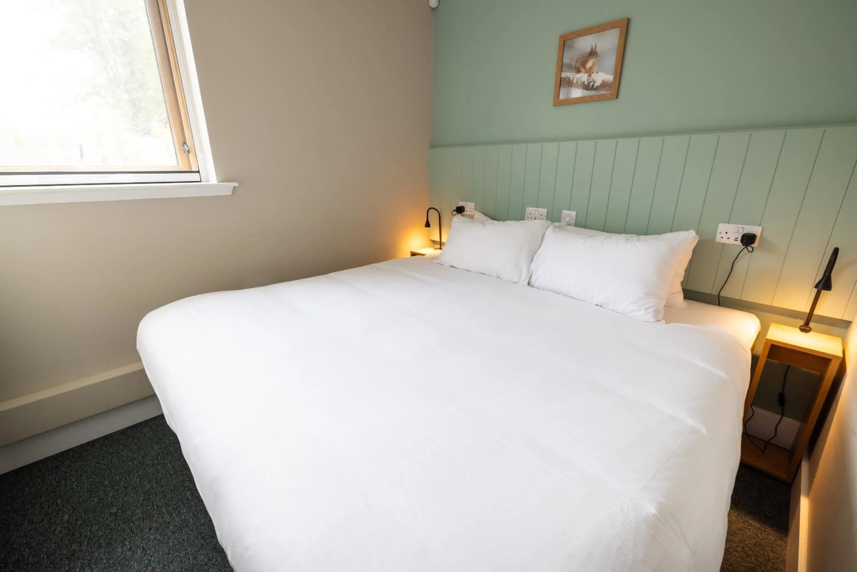 Bathroom, Bed in An Spiris Accommodation at Dundreggan Rewilding Centre
