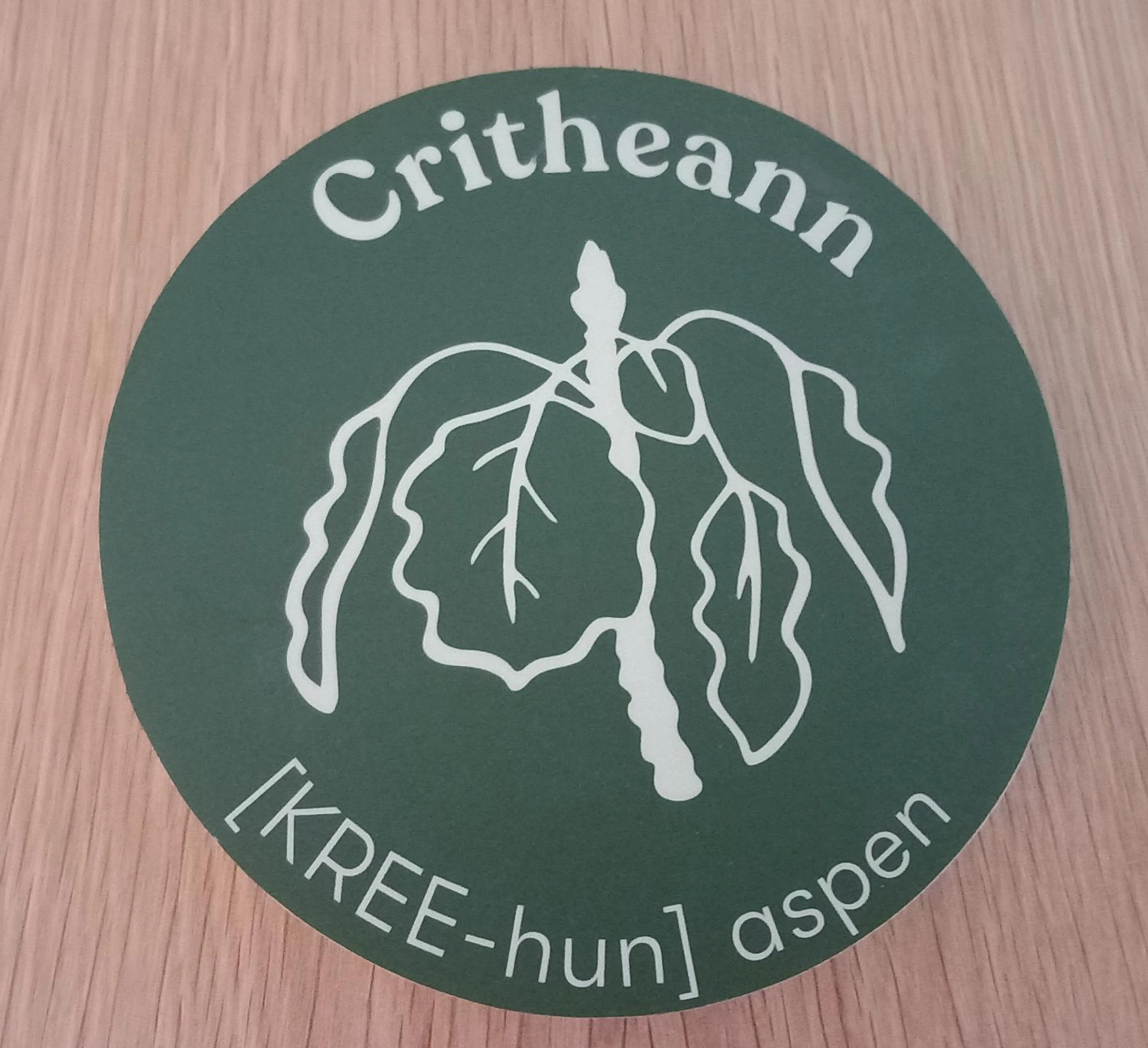 An Spiris Accommodation at Dundreggan Rewilding Centre